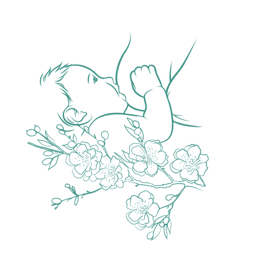 Illustration d'un bébé qui dort sur un support, entouré de fleurs et de branches