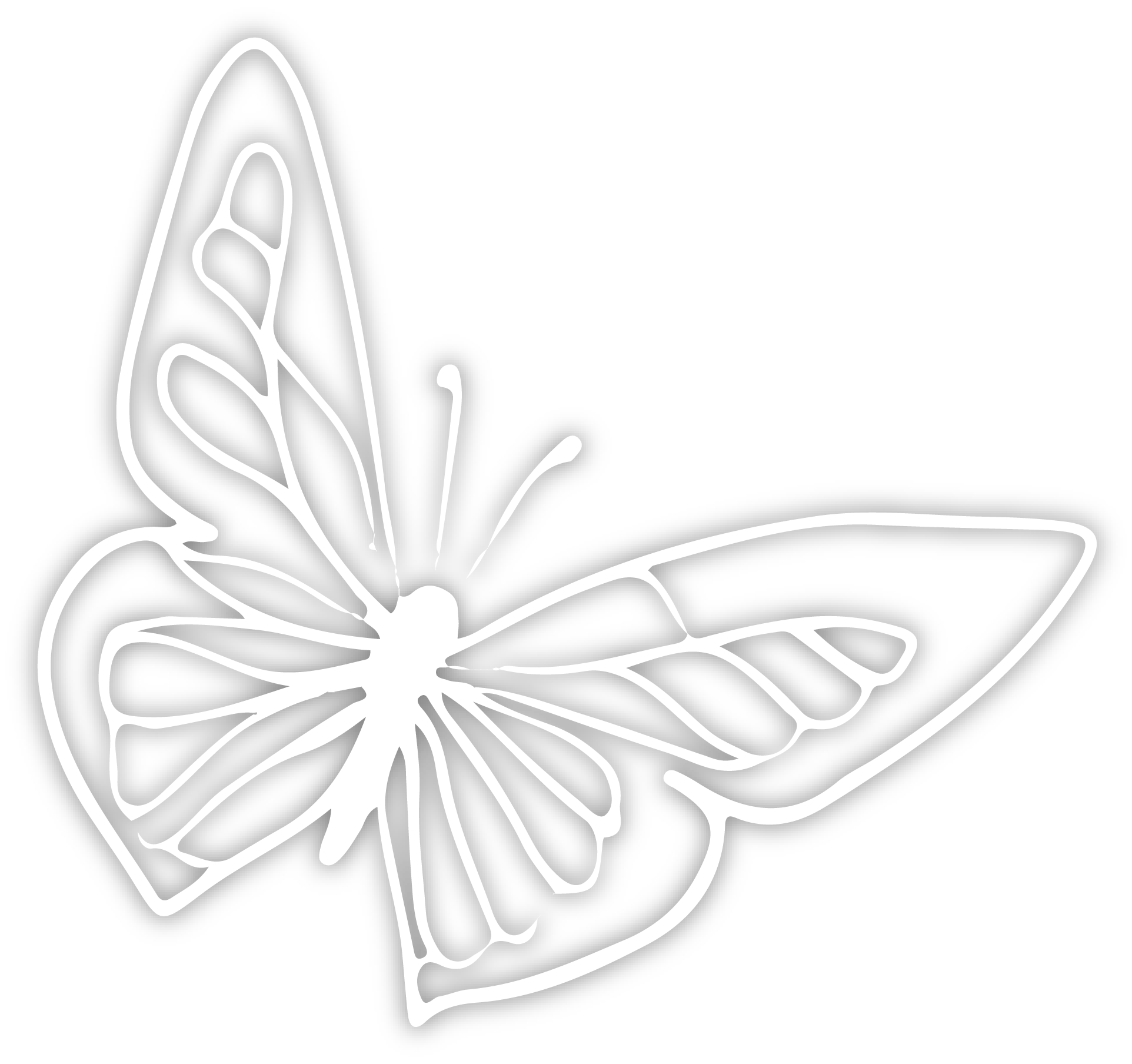illustration of butter flyer