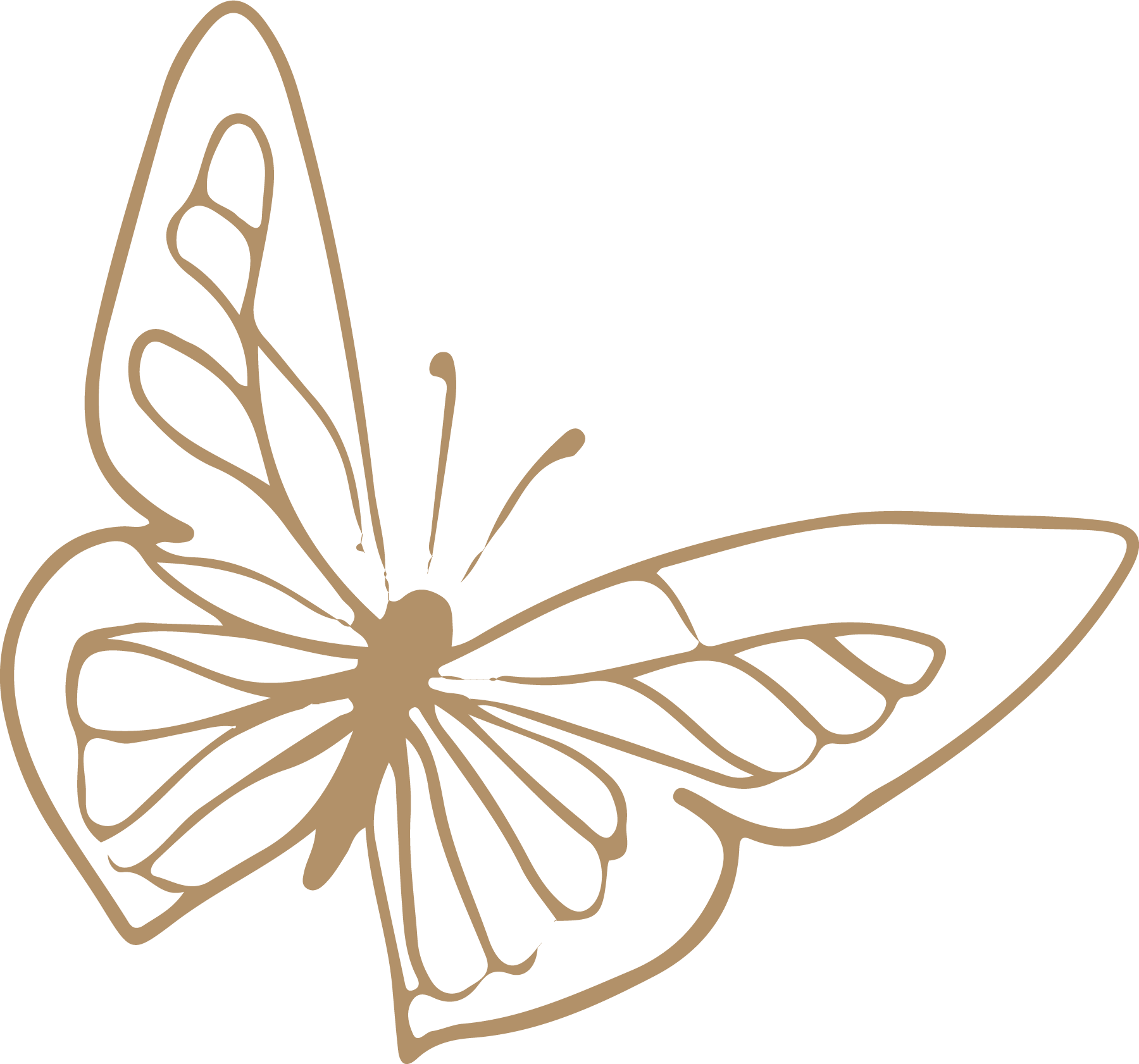 Illustration simple d'un papillon en contour brun clair sur fond noir.