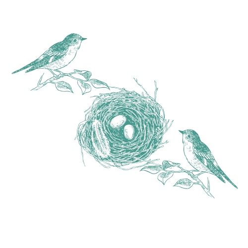 Illustration de deux oiseaux perchés sur des branches avec un nid au centre contenant trois œufs.