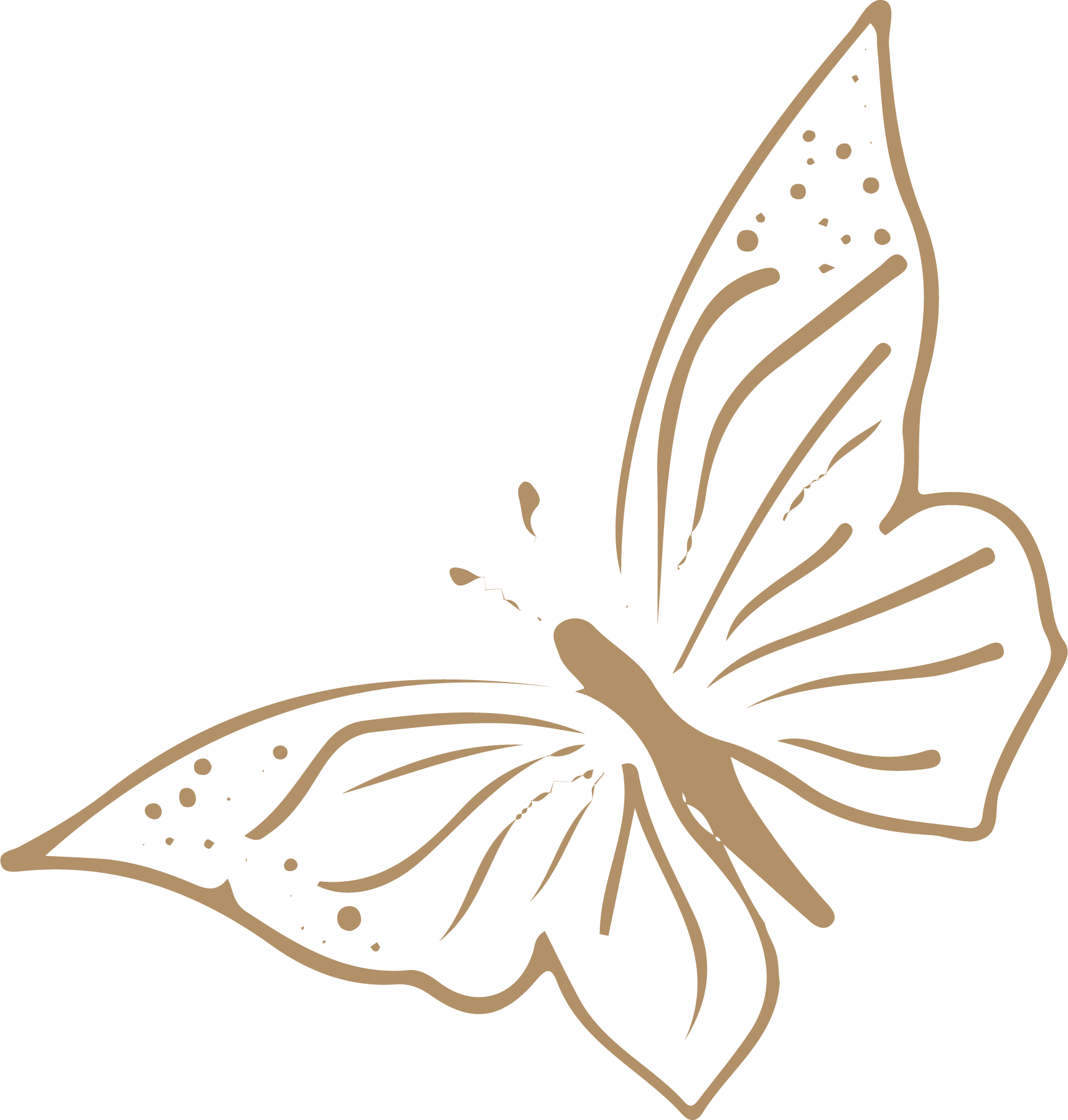 Illustration d'un papillon beige sur fond blanc.