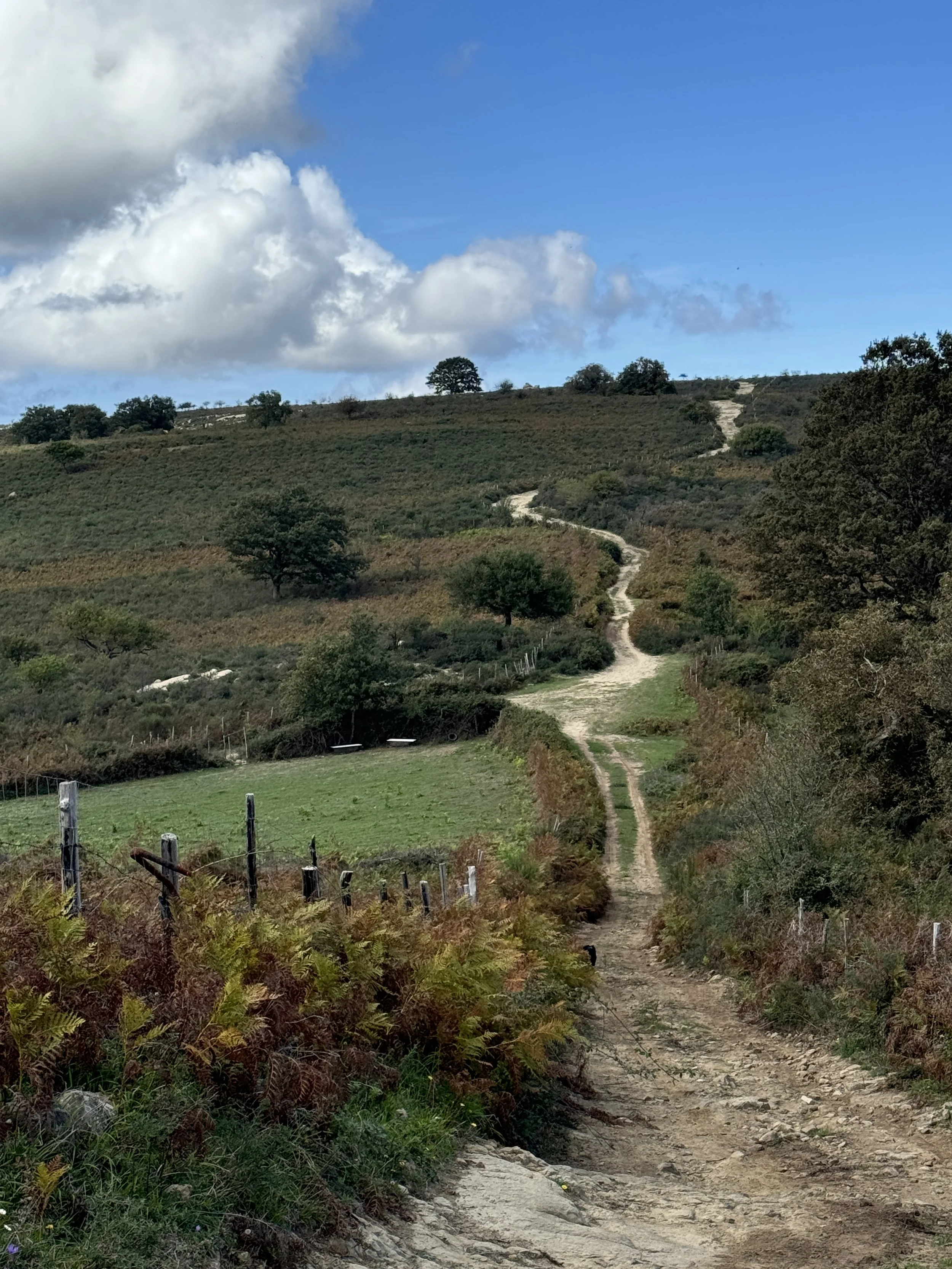 Das Ziel ist der Weg (nach Scafa)