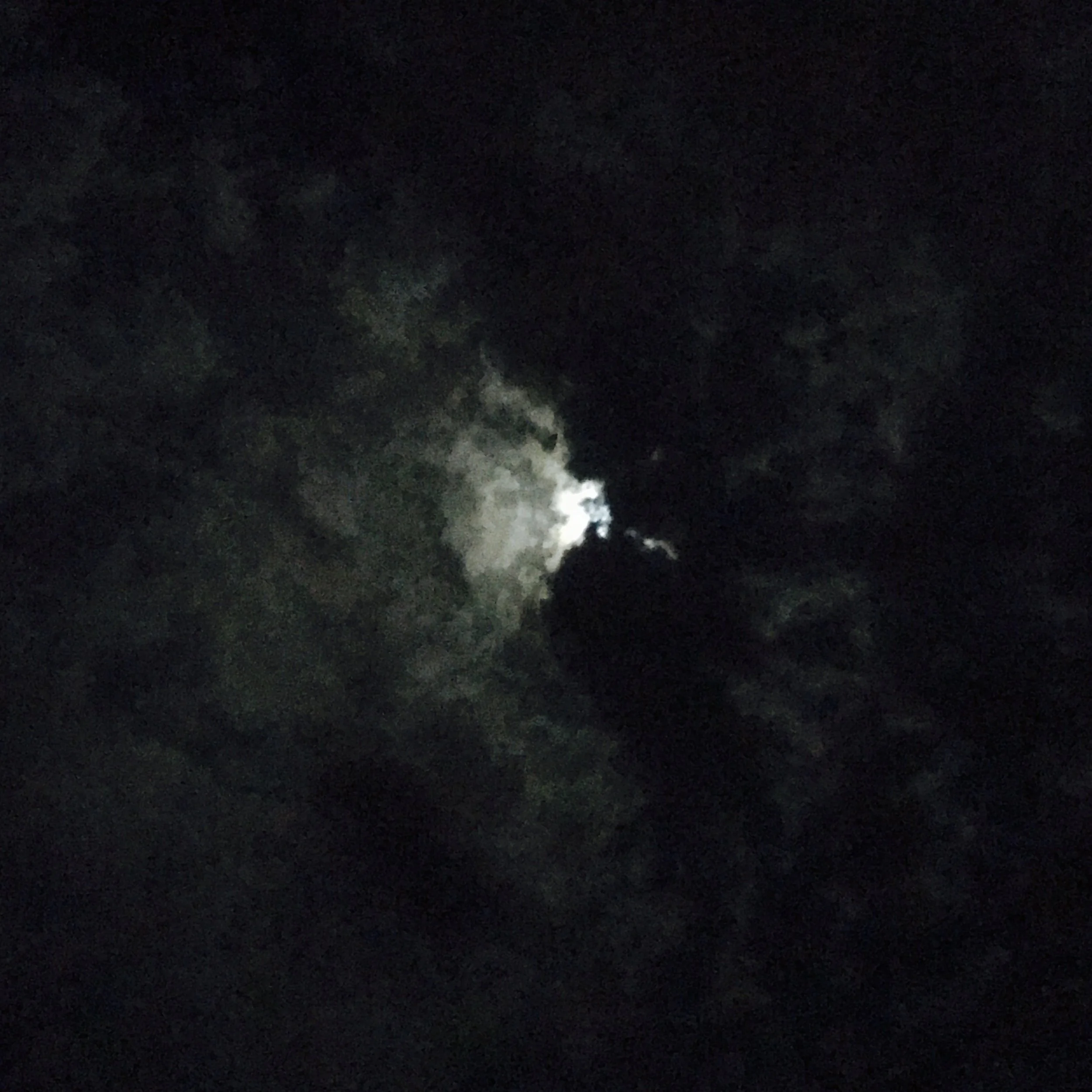 Durch die Nacht mit …