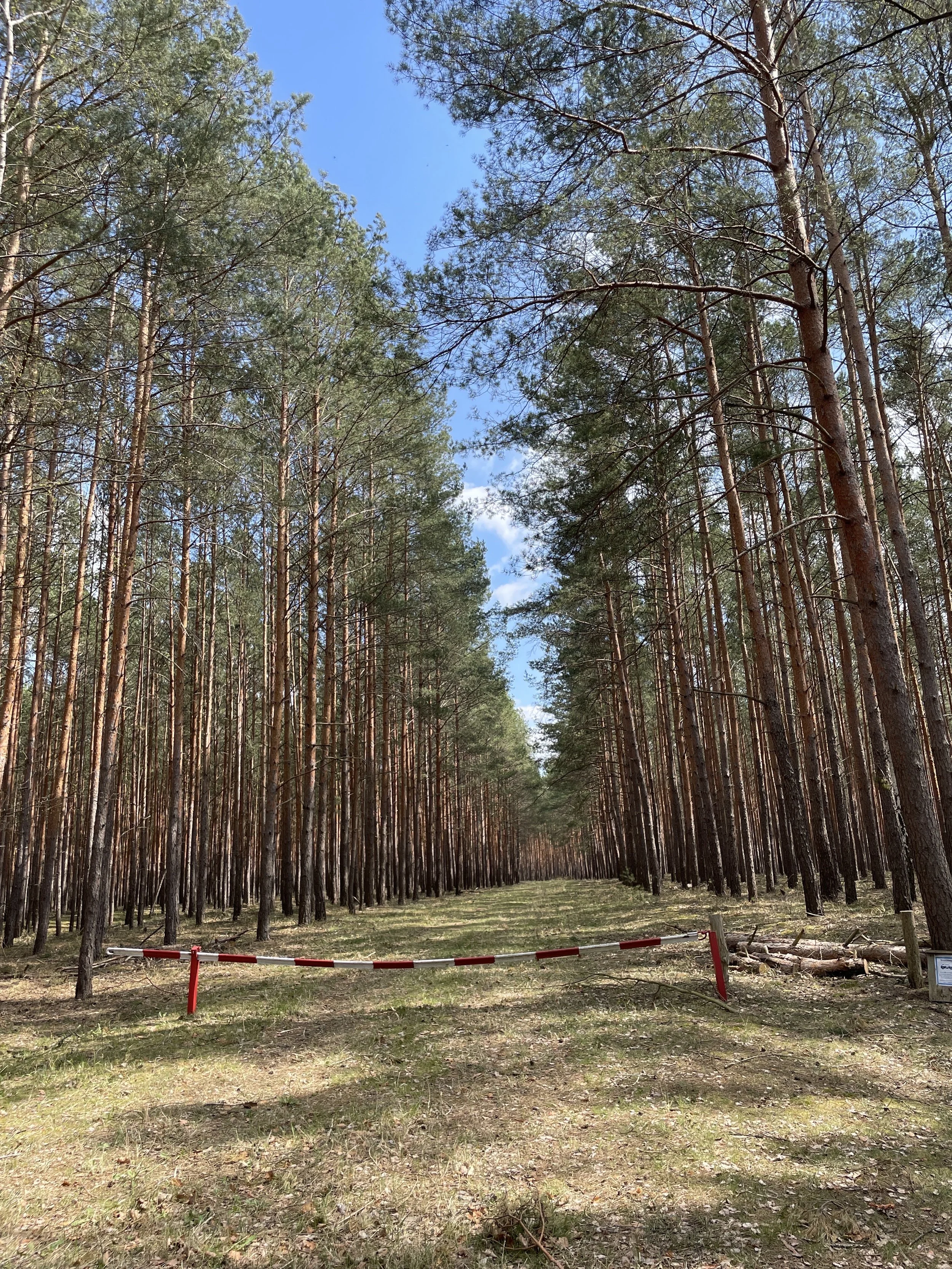 Rund um Prieros Pechhütte