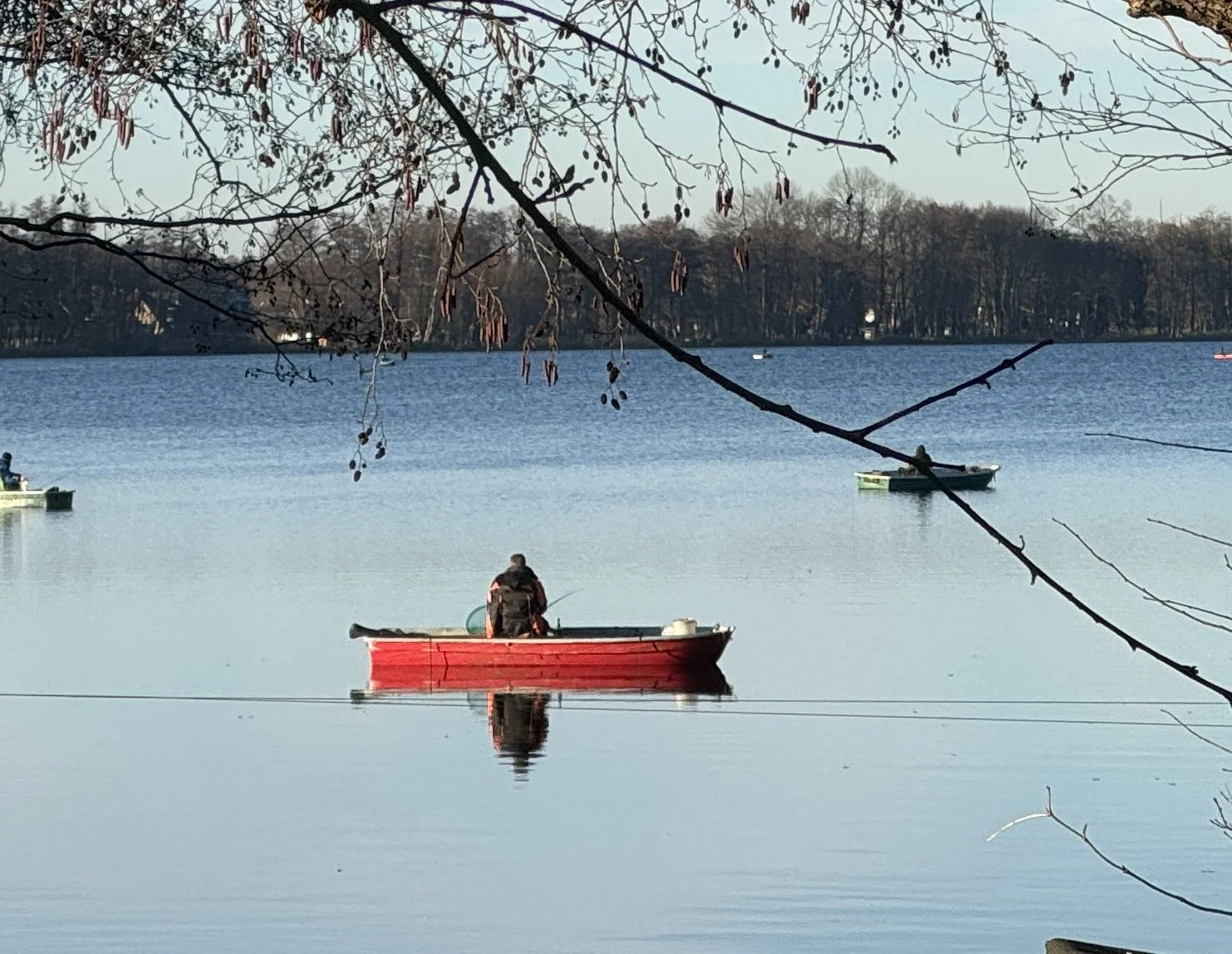 Links in Brandenburg