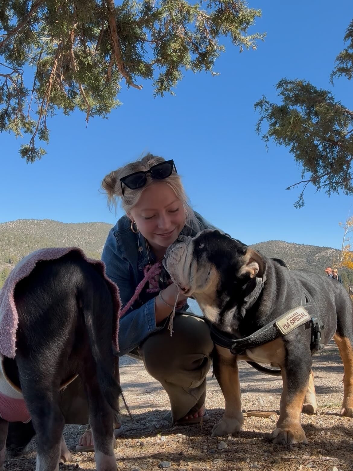 Coming here to thank everyone for being so very understanding and thoughtful as we grieve the loss of our sweetest fur baby. 

If you know me or have worked with me, you likely know every detail about Bruno and hear about him every time you see me. 
