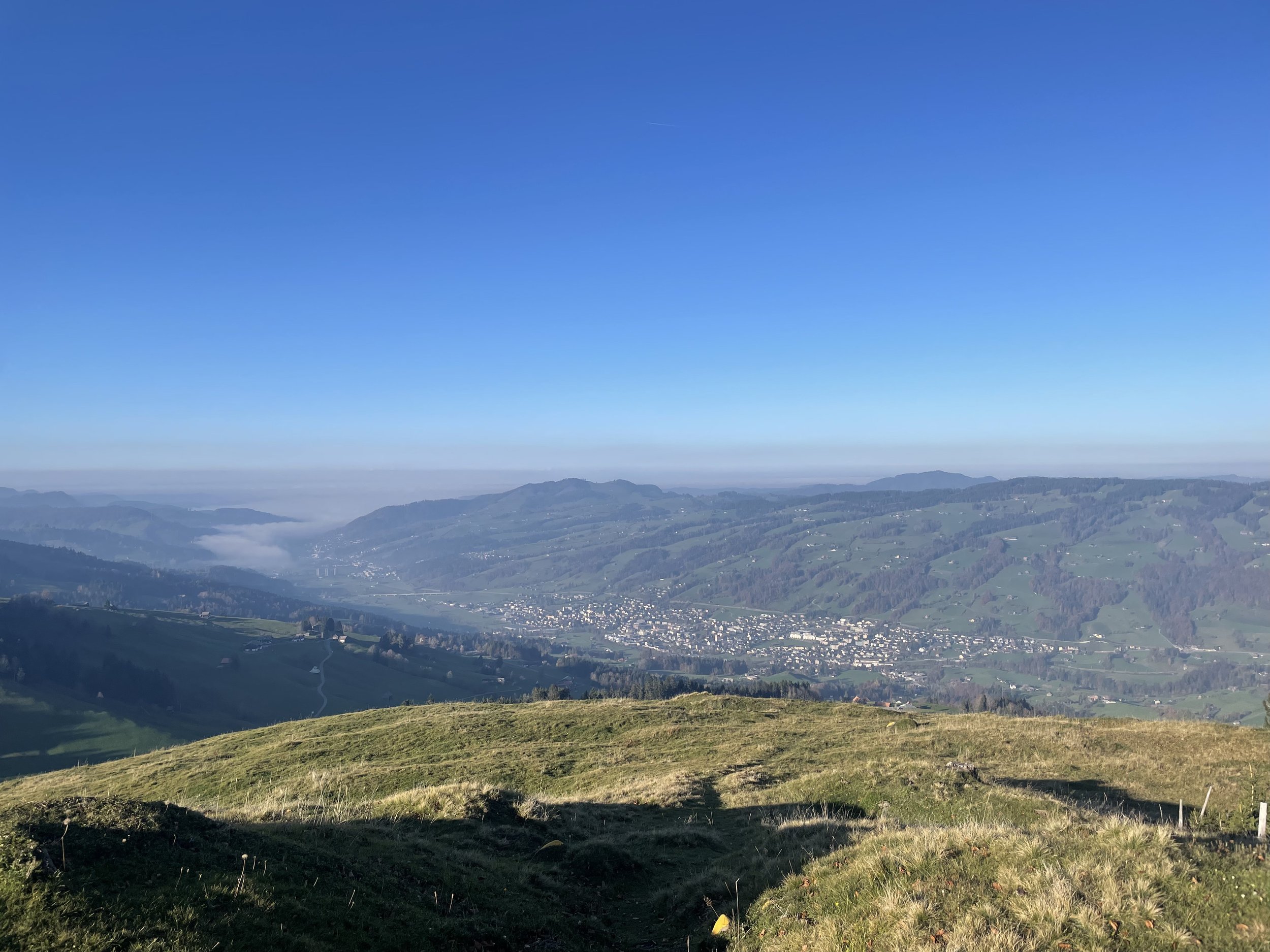IMG_7621.jpeg