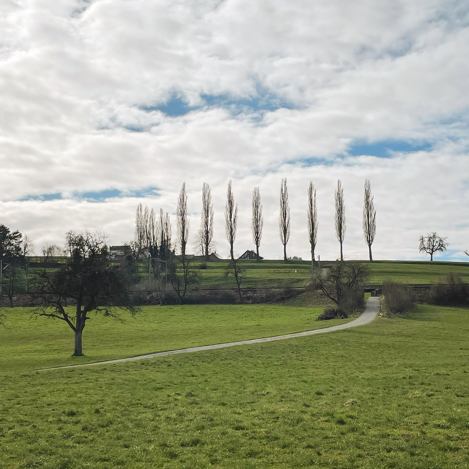 260330-WhatsApp Image 2026-03-18 at 18.54.23 (1).png