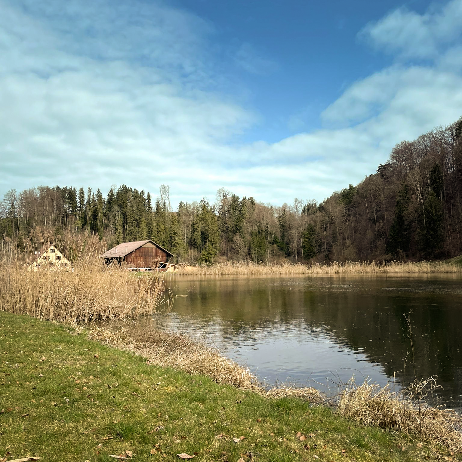 260330-WhatsApp Image 2026-03-18 at 18.54.24 (3).png