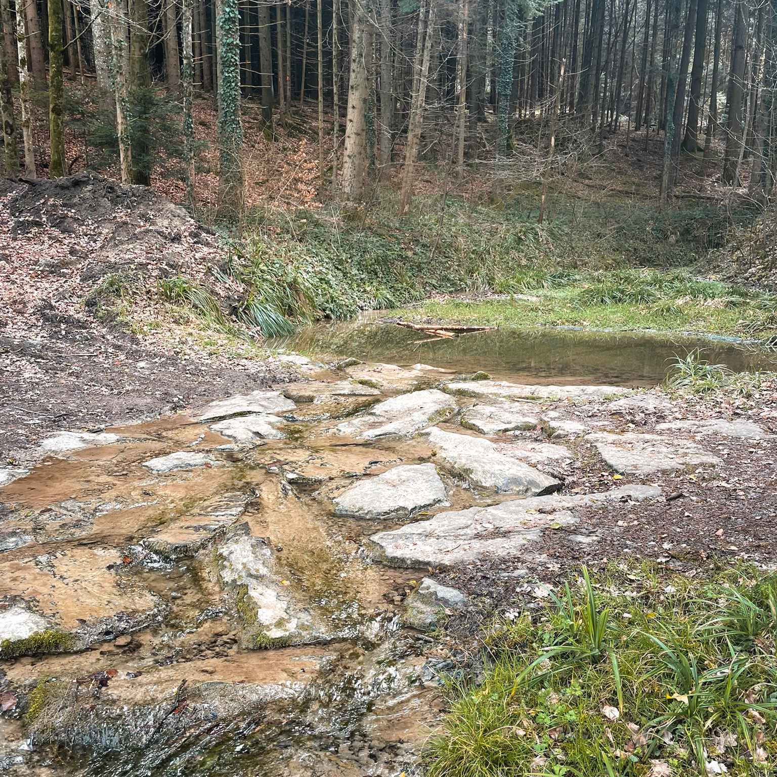 260330-WhatsApp Image 2026-03-18 at 18.54.25 (3).png