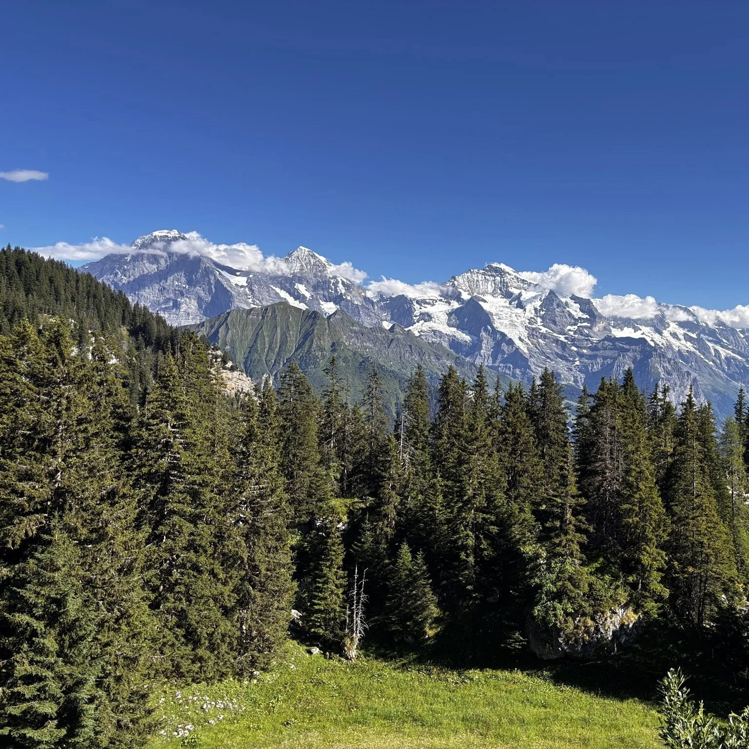 Spiez-           Schynige Platte 