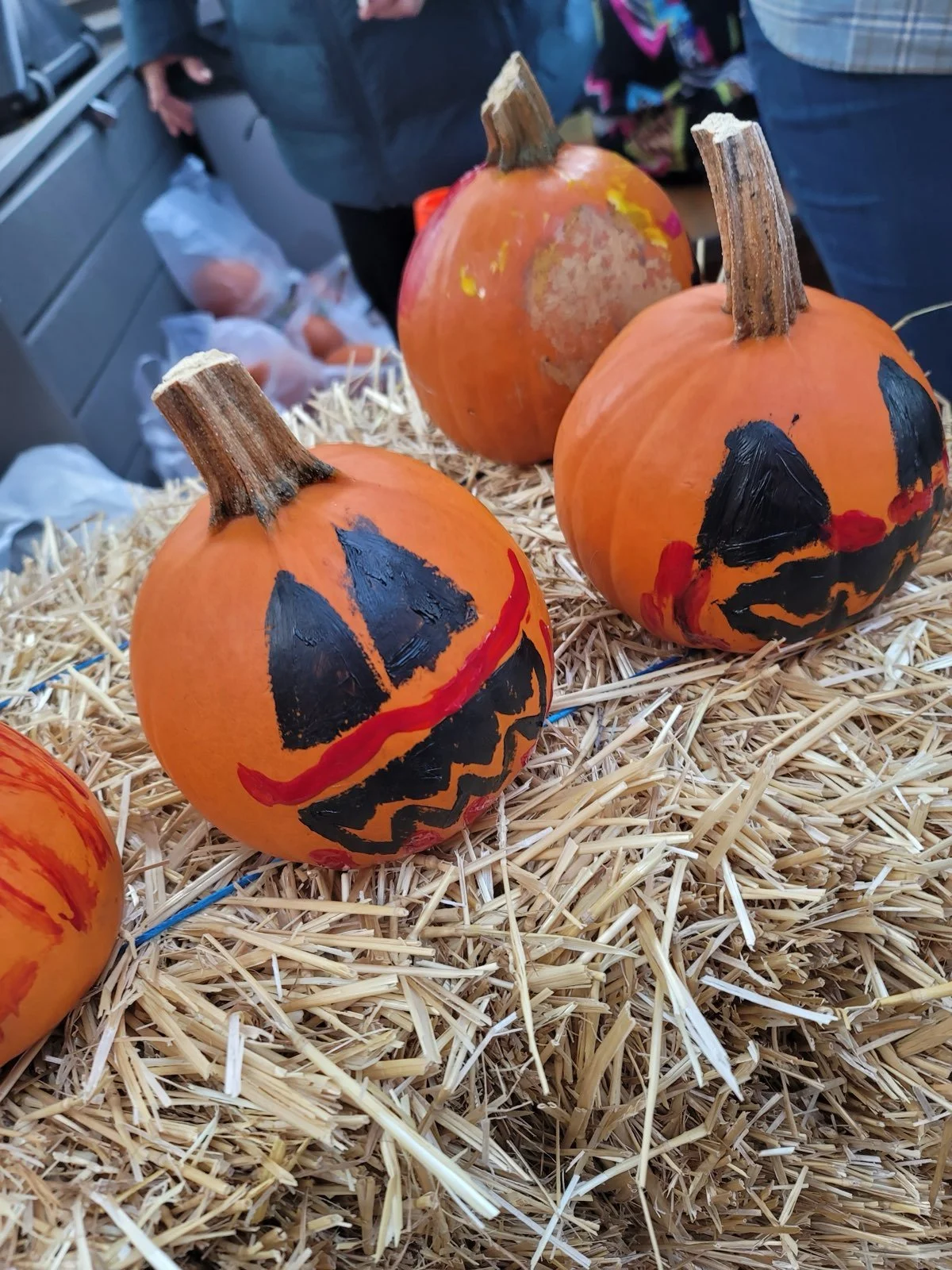 PAinted Pumpkins.jpeg