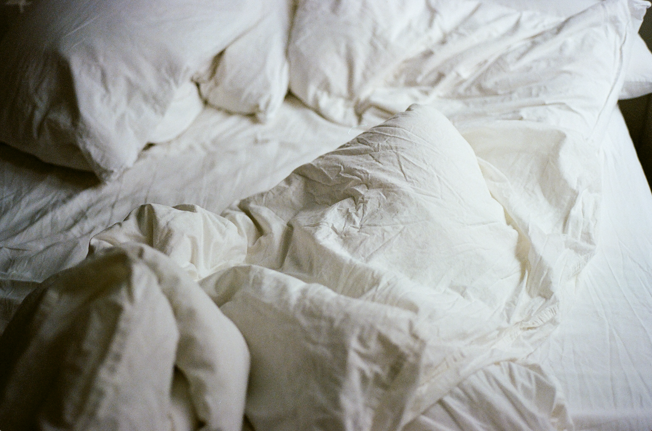 Casey Joiner's Familial Mythologies - By Jonah Goldman Kay