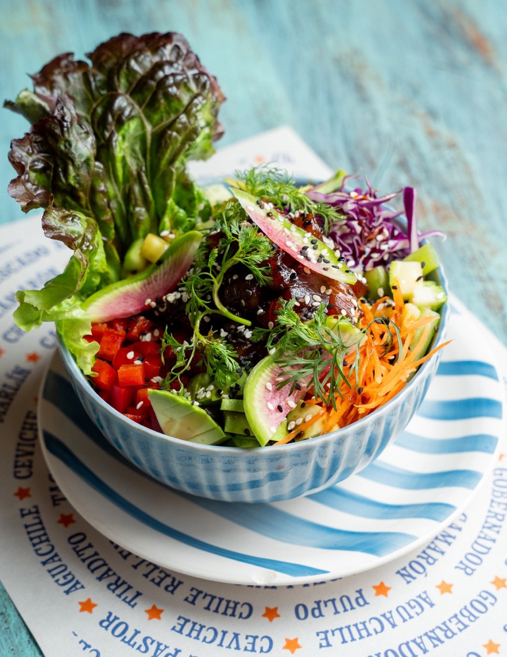 DSC03725 de tamaño grande.jpeg