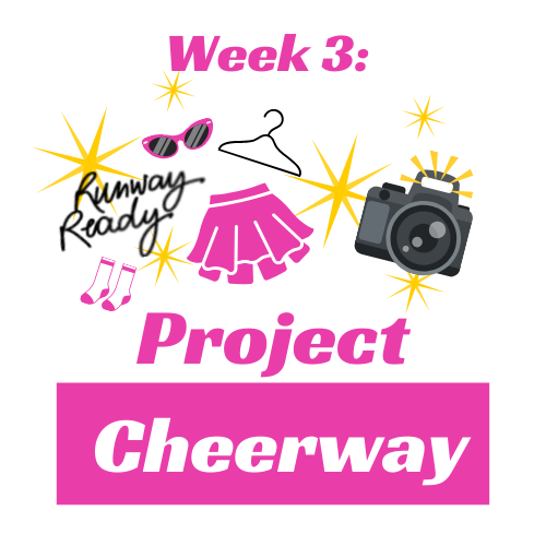 Week 3: Project Cheerway