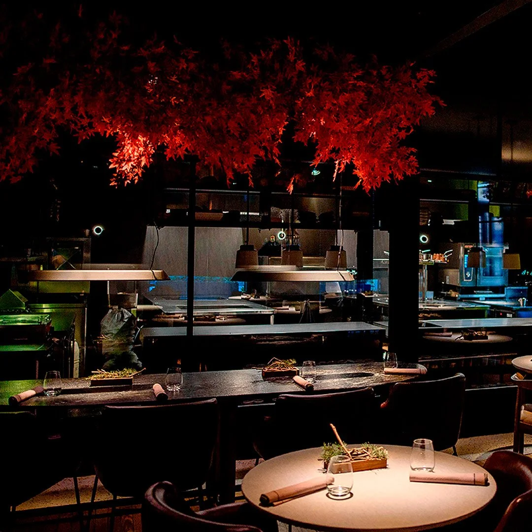 A restaurant interior with a bar table set with glasses and napkins, facing an open kitchen area with cooking equipment, and an artificial red autumn maple tree hanging from the ceiling.