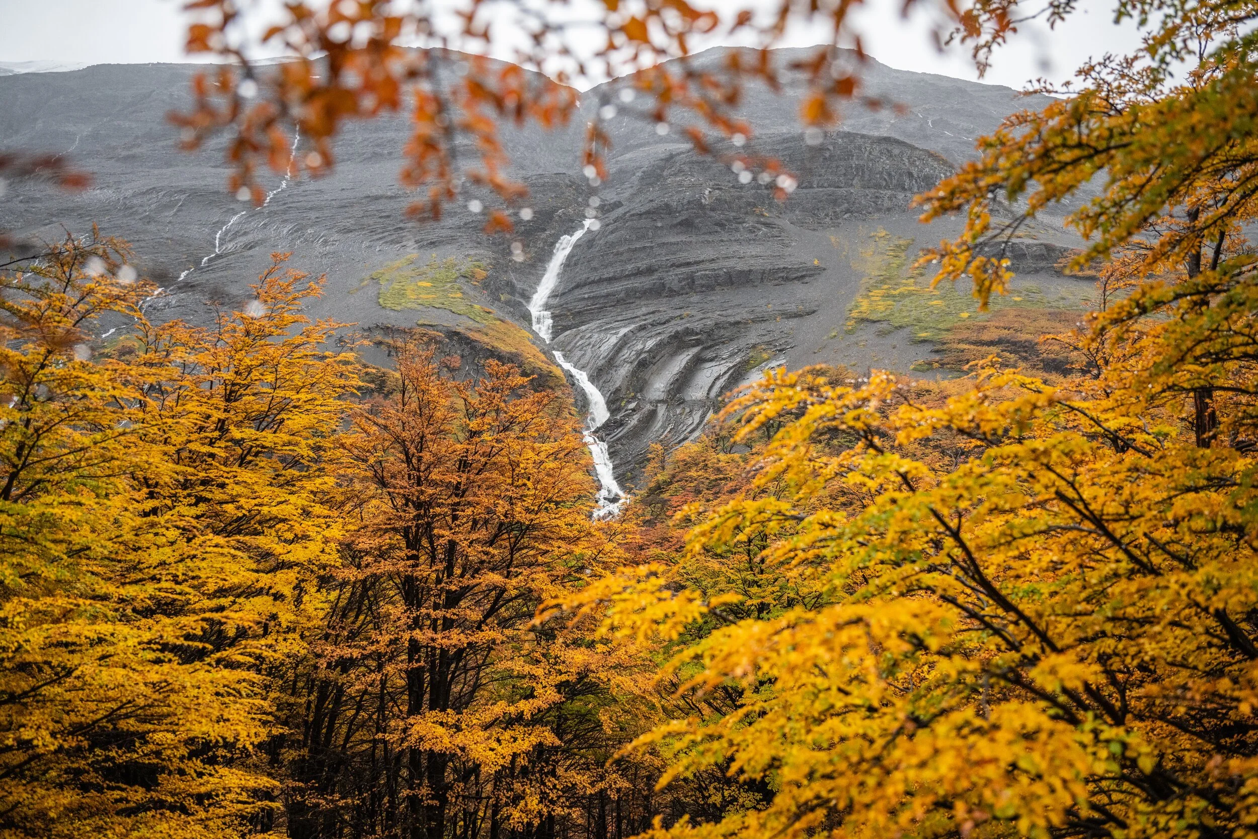 torres-del-paine-waterfall-with-fall-colors.jpg