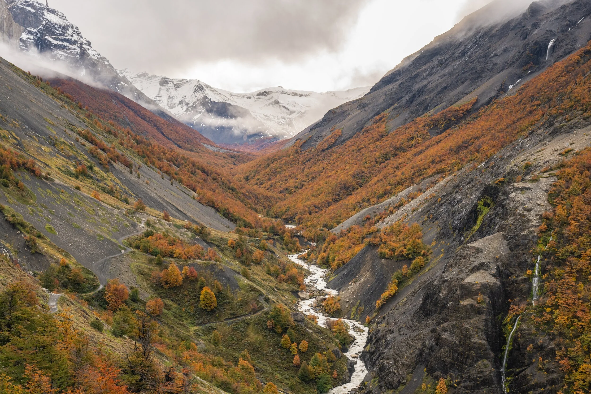 torres-del-paine-river-valley-fall-colors.jpg
