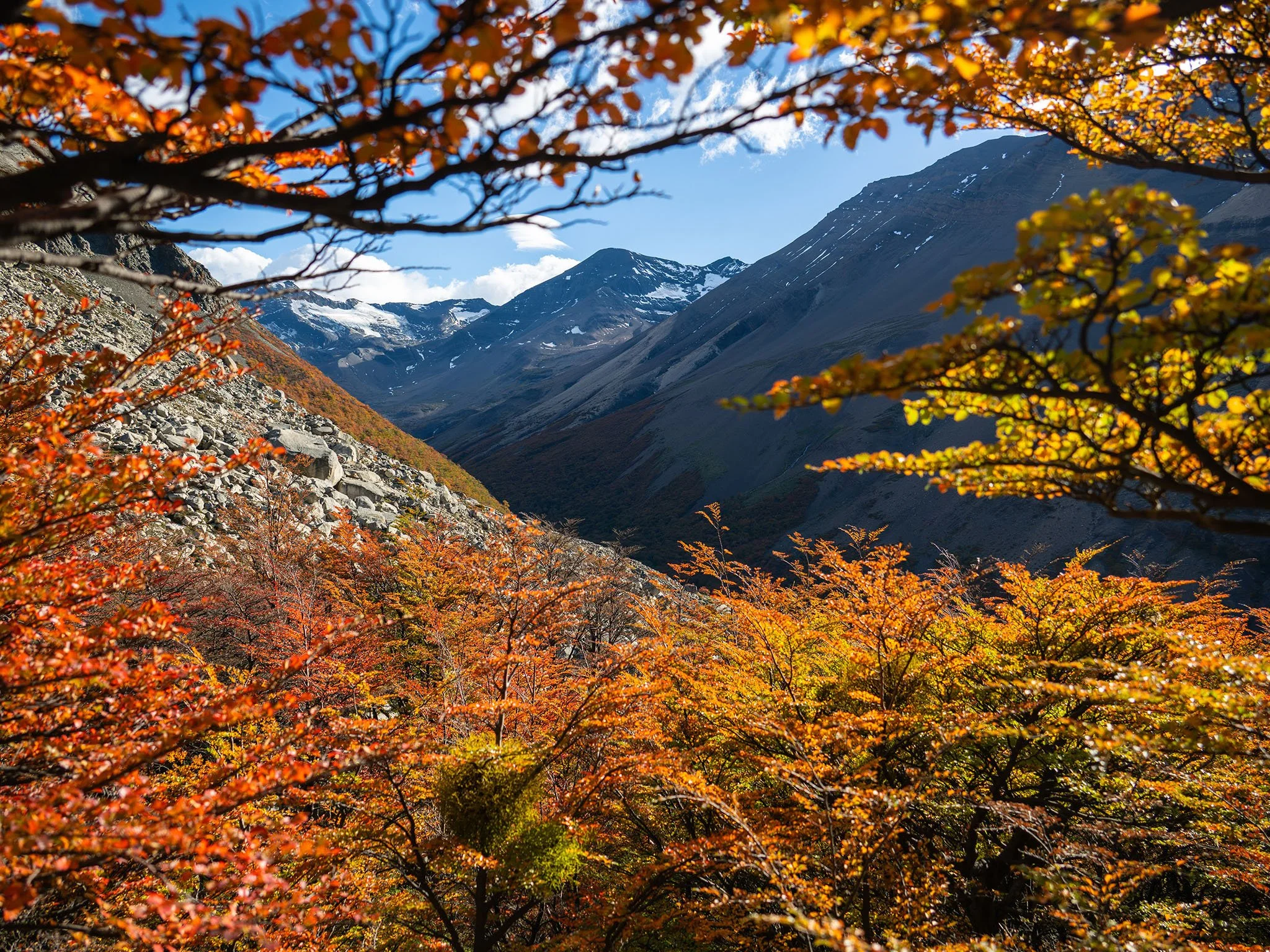 The Best Time to Visit Patagonia: A Month-by-Month Guide