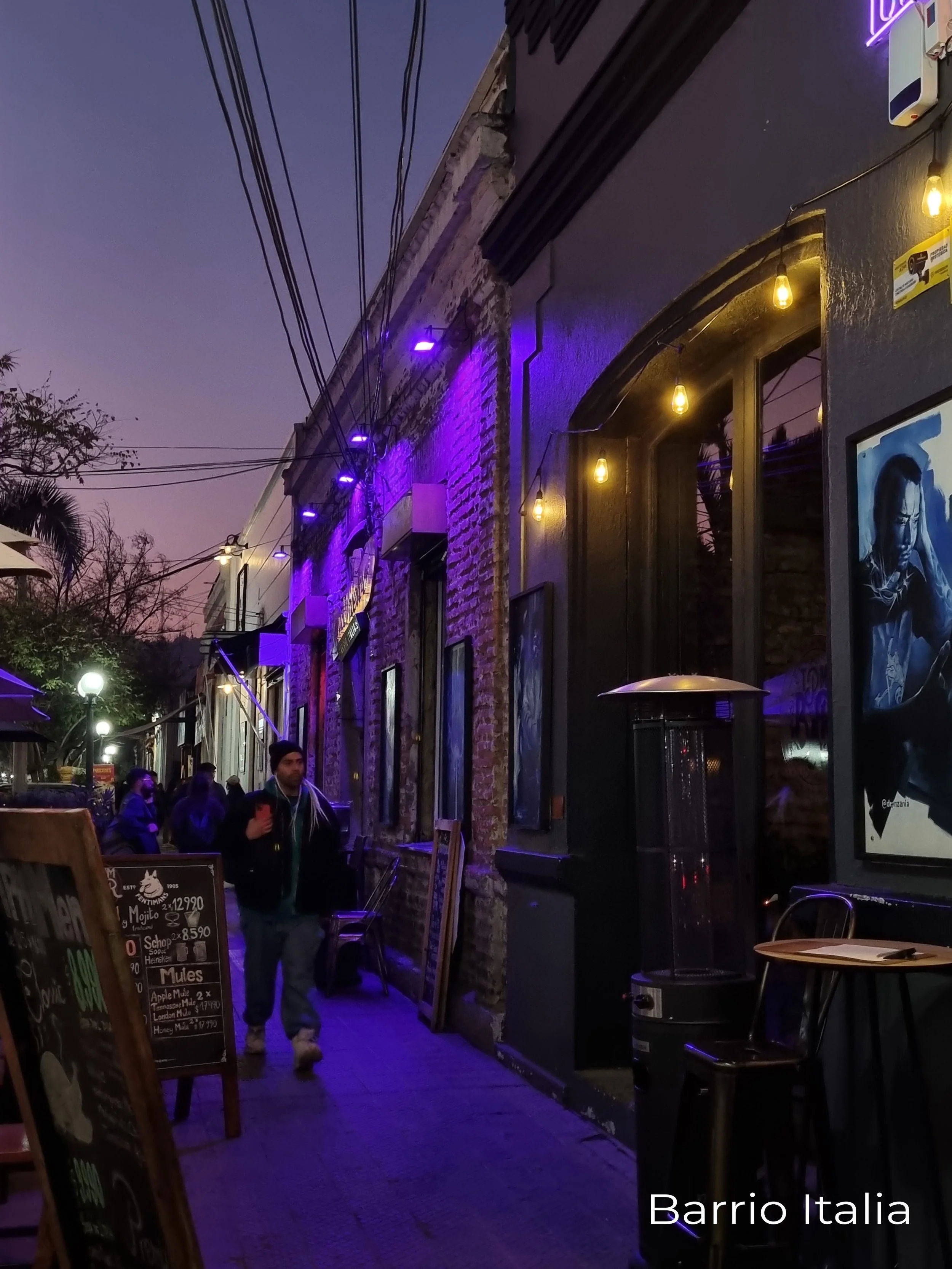 Shops and cafes in Barrio Italia, Santiago, Chile