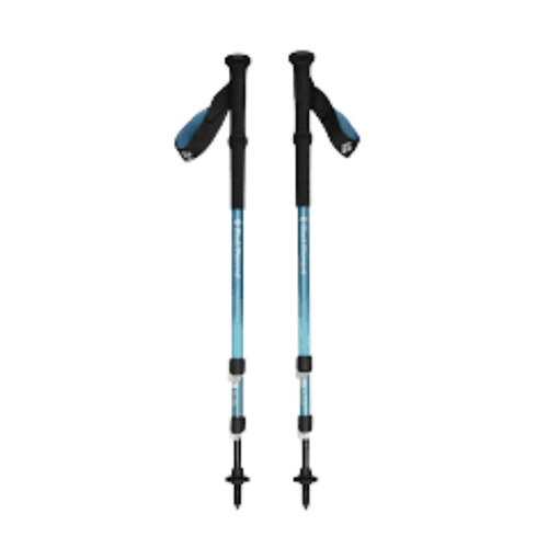 Pair of trekking poles