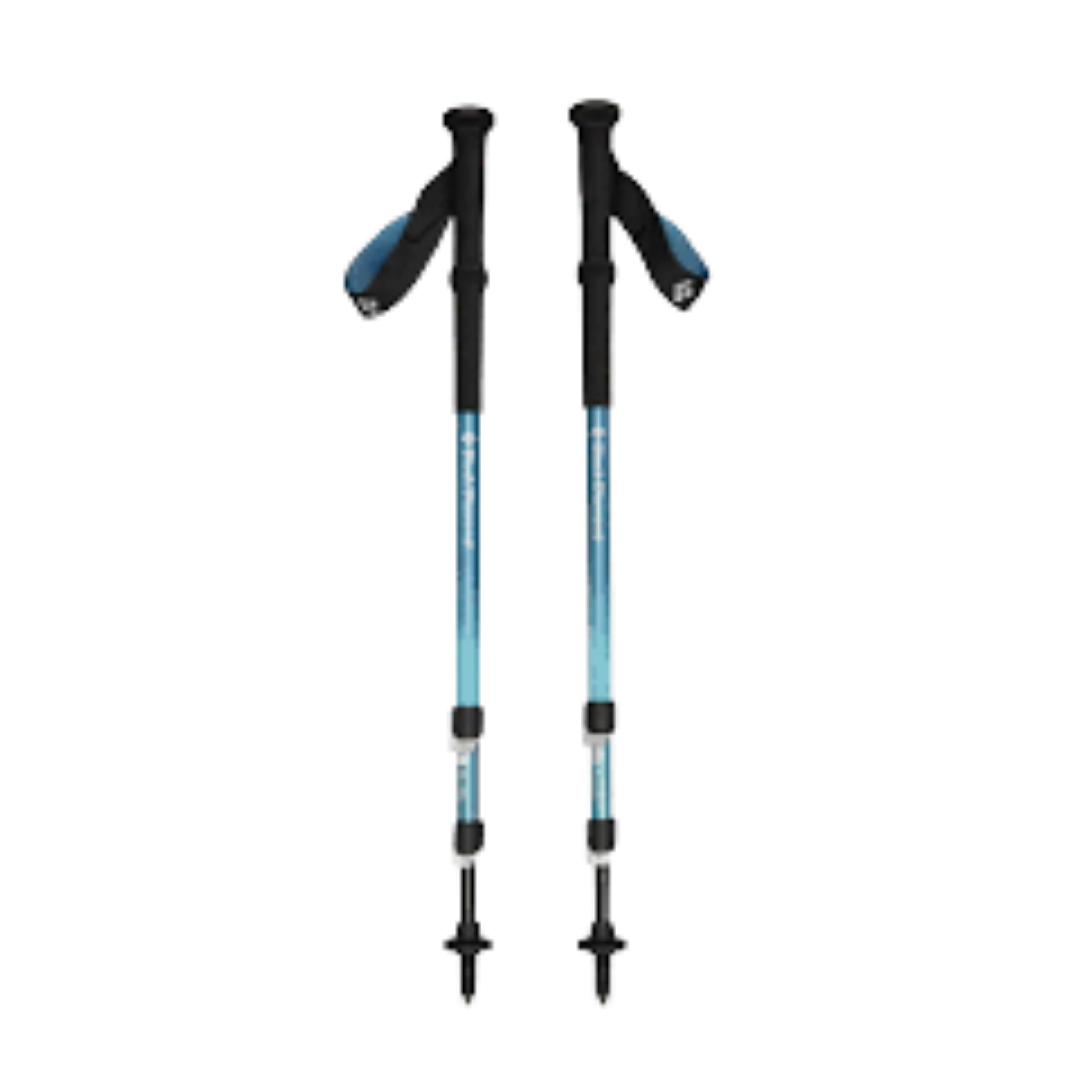Pair of trekking poles with black handles and blue accents.