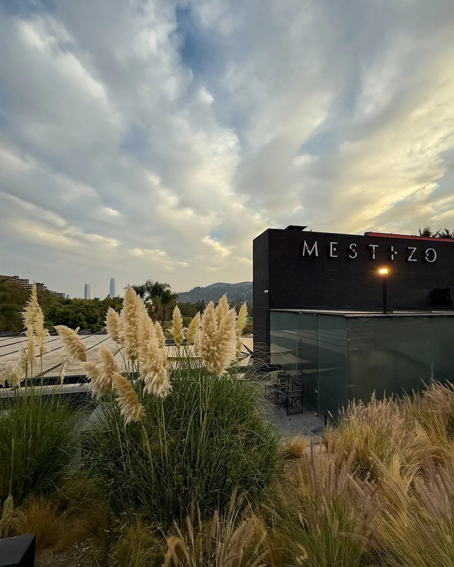 The photo shows a modern building with the word 'MESTizo' on it, surrounded by tall ornamental grasses, with a cloudy sky and a city skyline in the distance.
