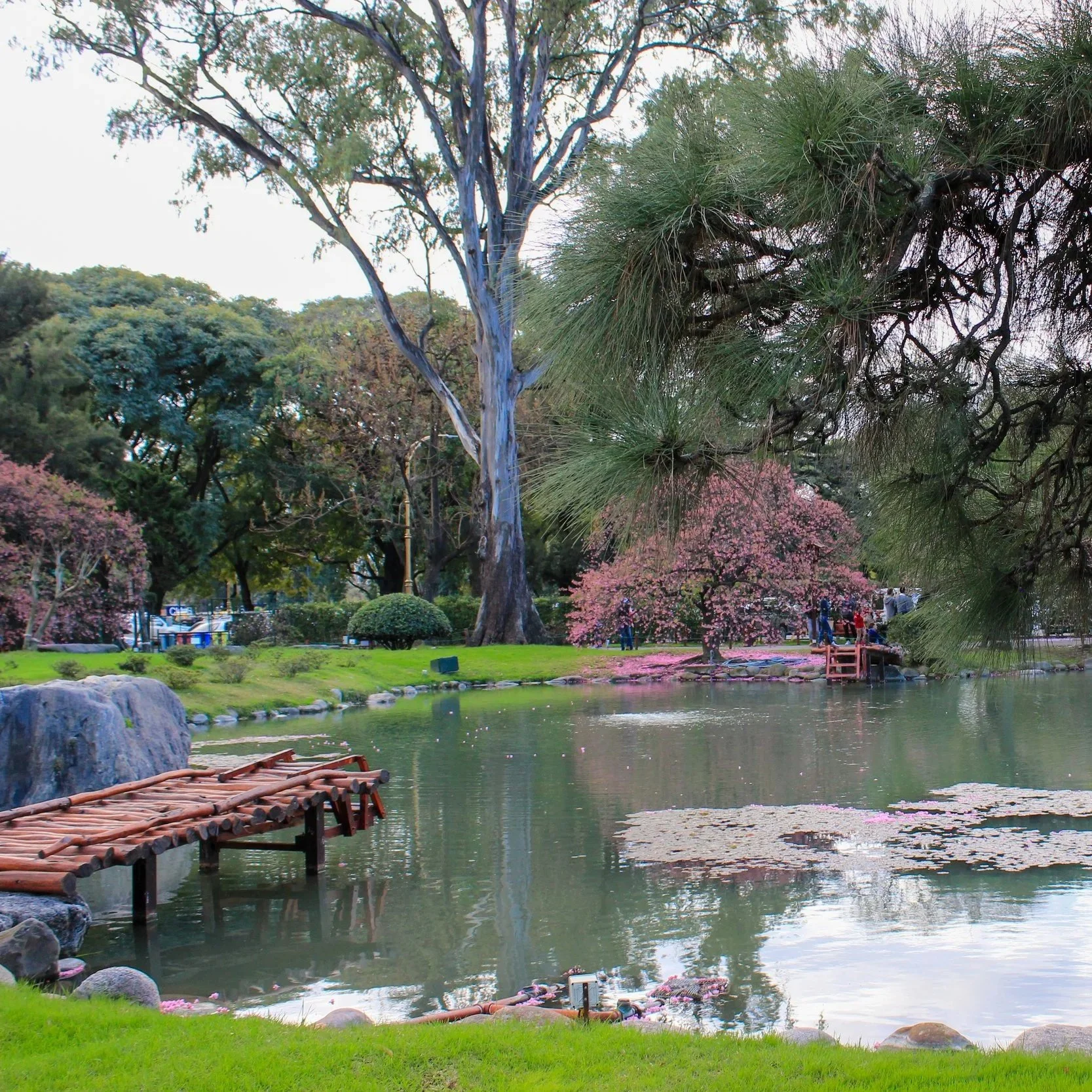 A scenic park with a pond, trees, and pink flowering bushes, featuring a small wooden dock extending into the water and people walking in the background.
