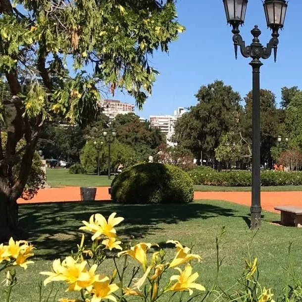 A park with green grass, yellow flowers, a large leafy tree, a black street lamp, and a clear blue sky.