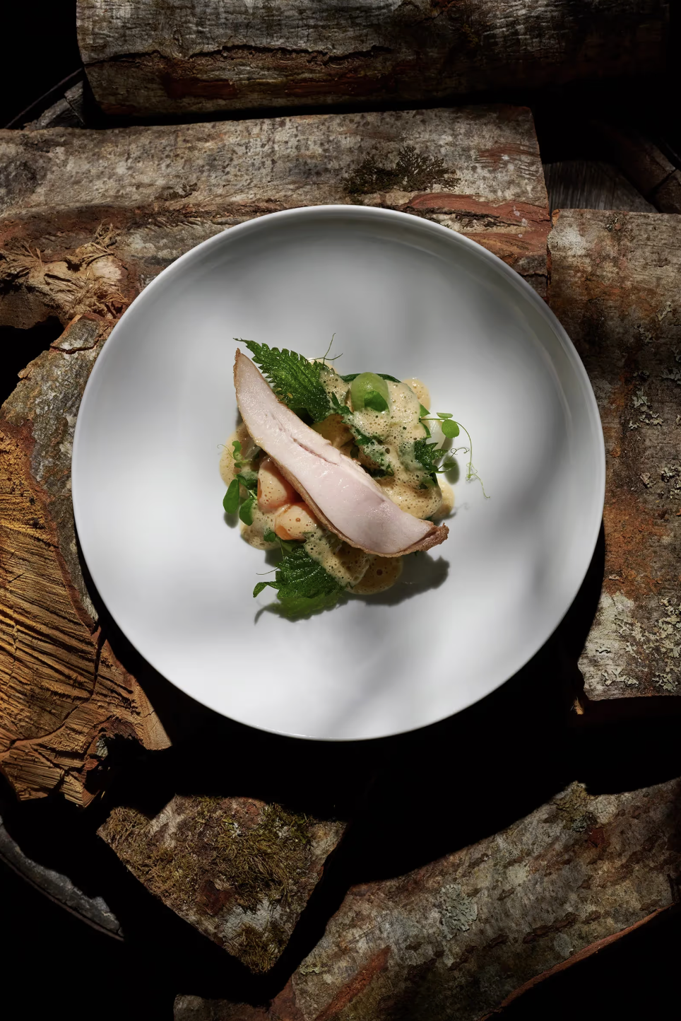 Screenshot 2025-10-30 at 9.49.47 PM.png