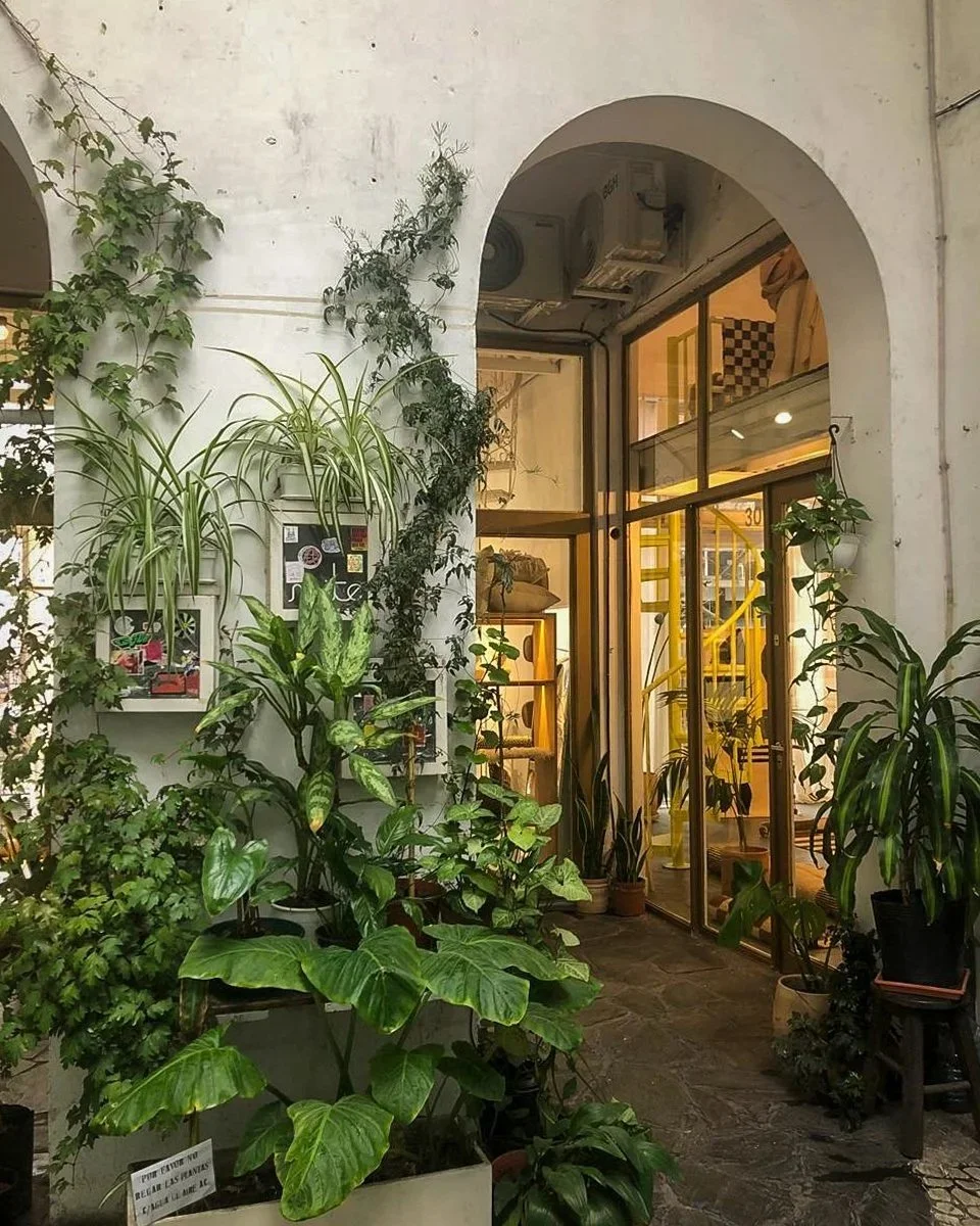 Plant-filled cafe courtyard in Buenos Aires, Argentina