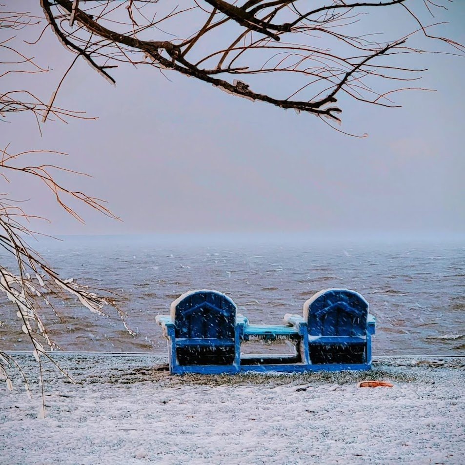 Two Poems from Bella