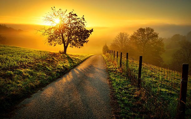 Walking Grace to Grace