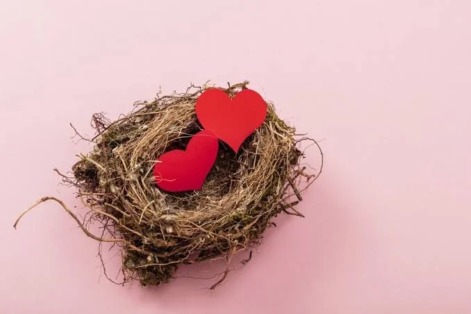 Empty Nesting