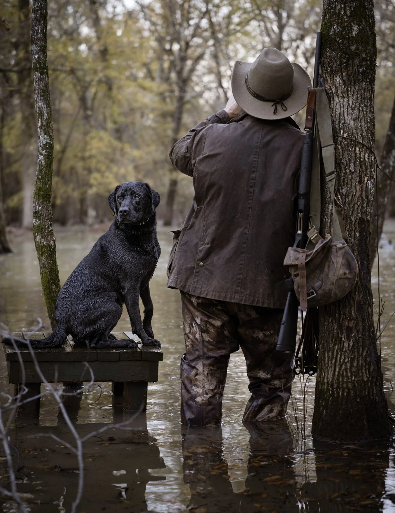 Why Brands Are Moving Toward Story-Driven Video — And How to Stay Ahead