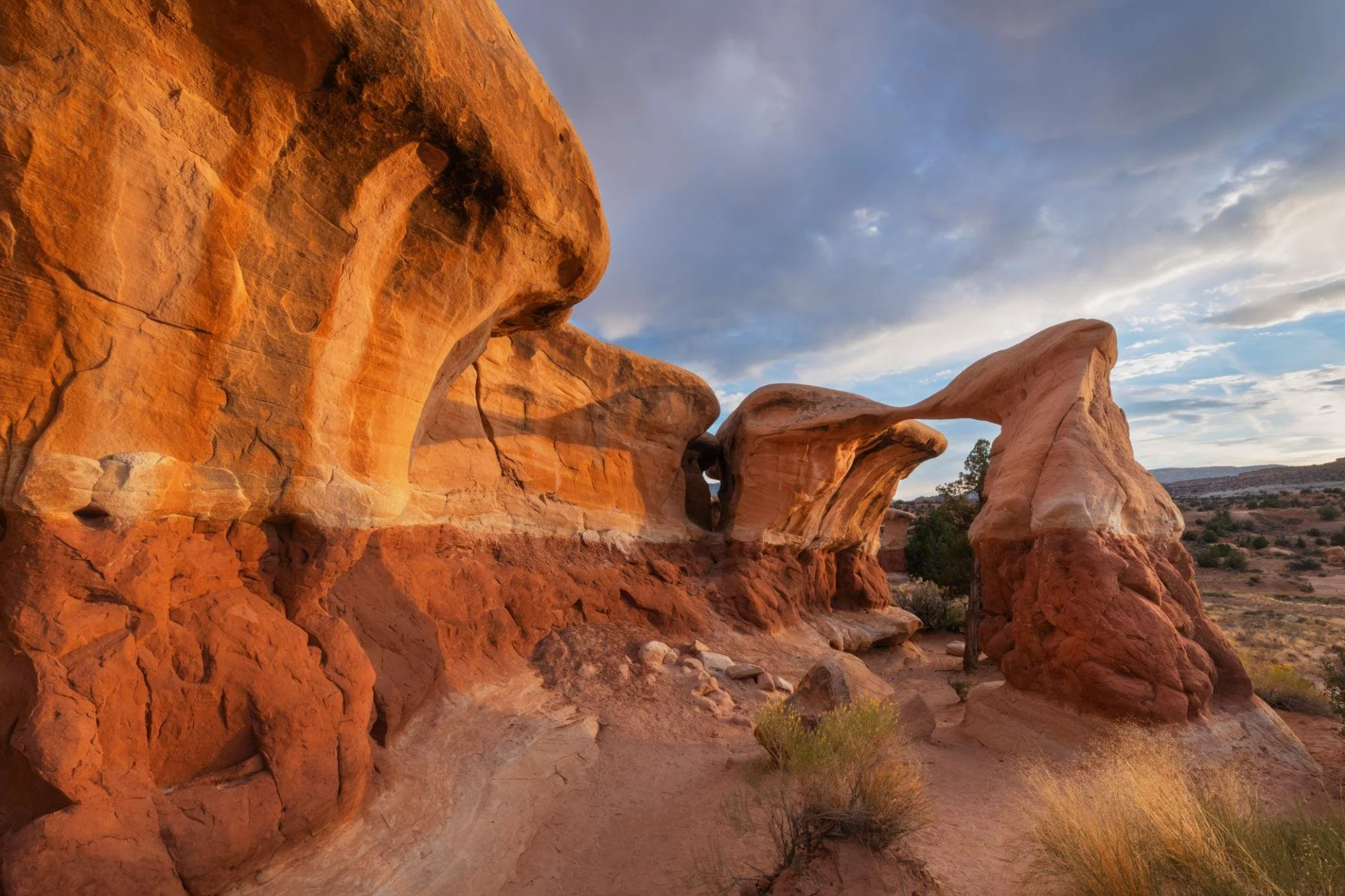 Devils Garden 