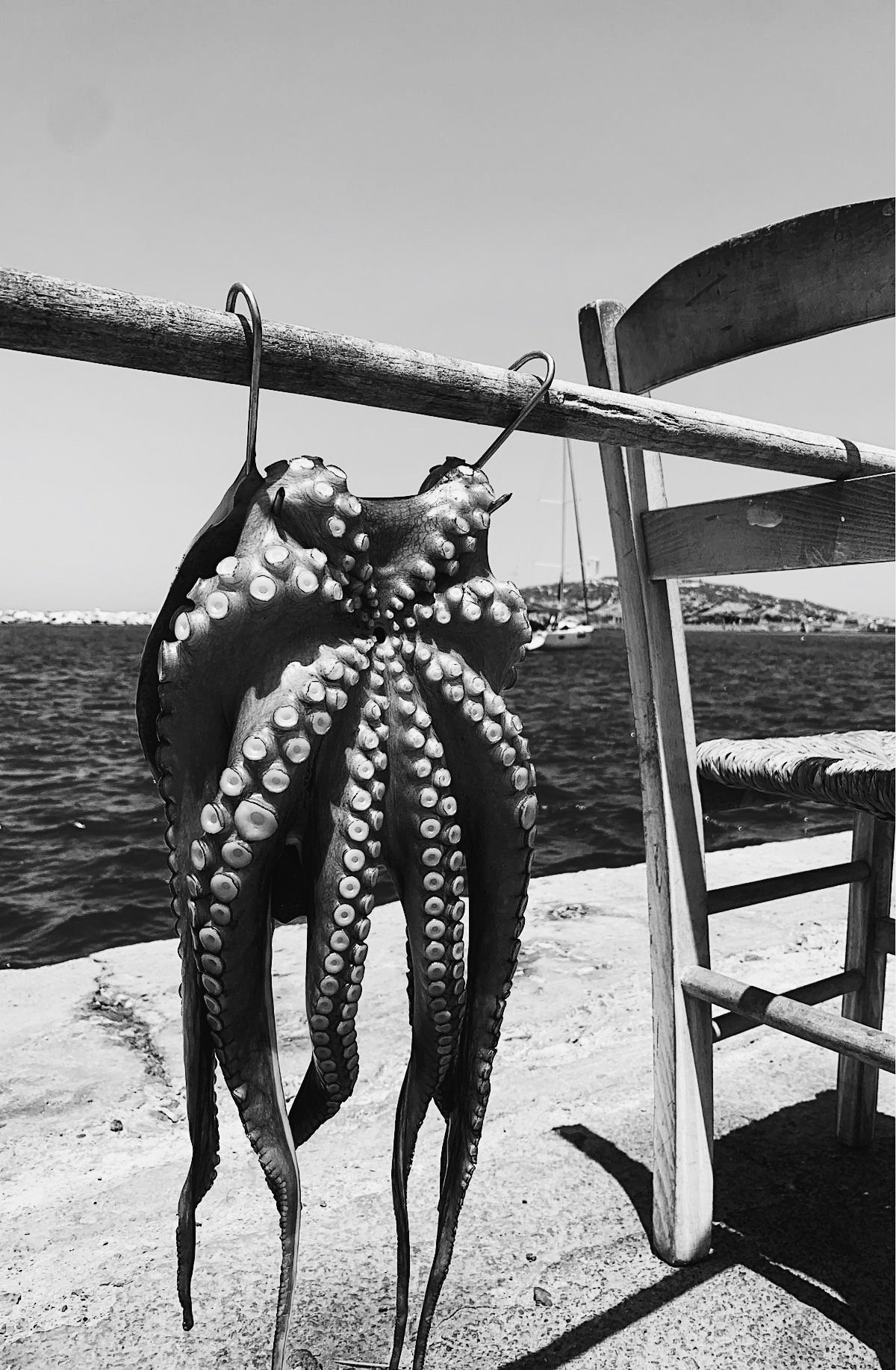 Debbie Boerke
"oktöopous"
Photography, 2023
 [$45]
 debbiebee123@yahoo.com