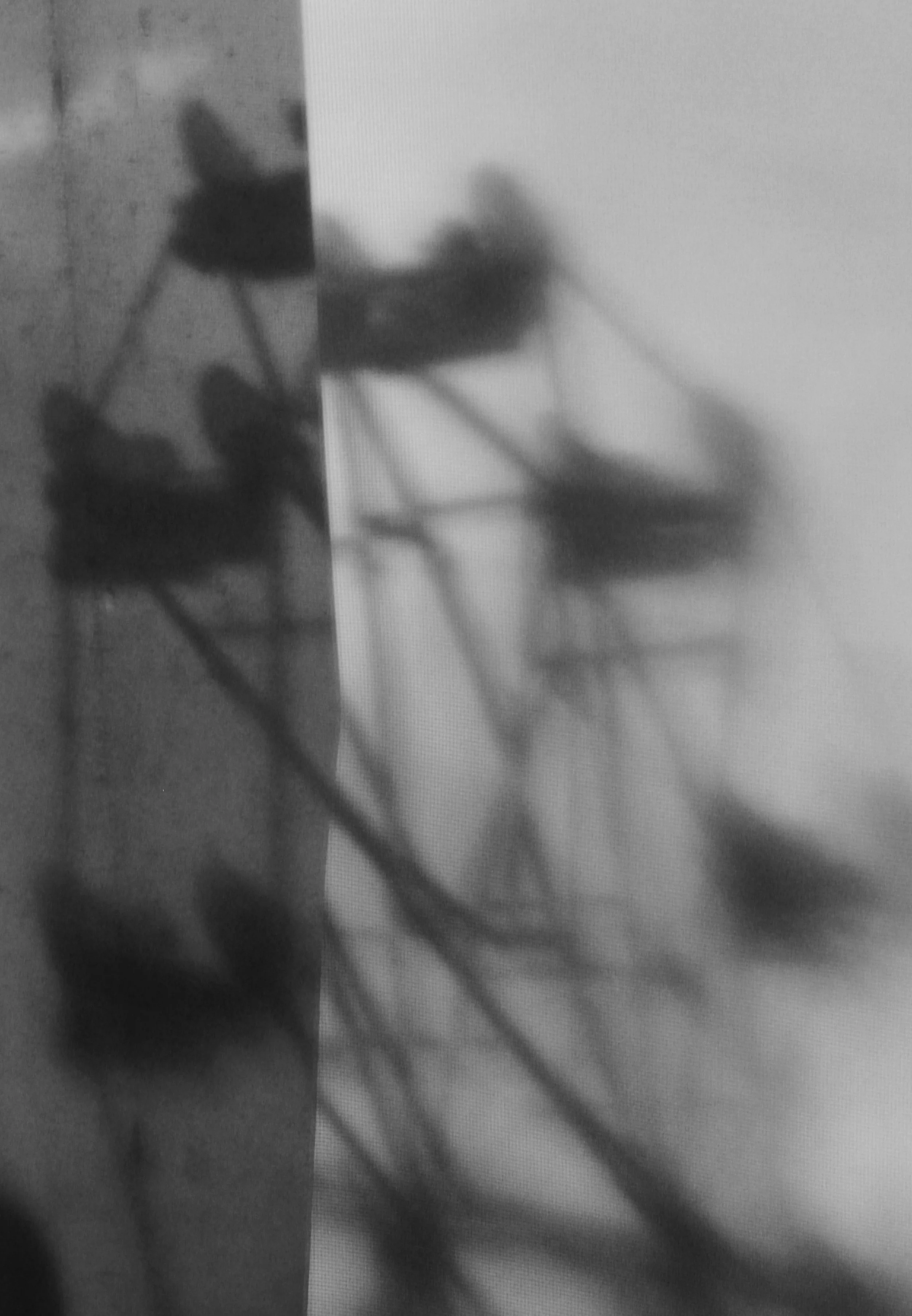 Denise deVore
"Untitled 01"
Photography, 2019
[$200]
denisedevore@mac.com