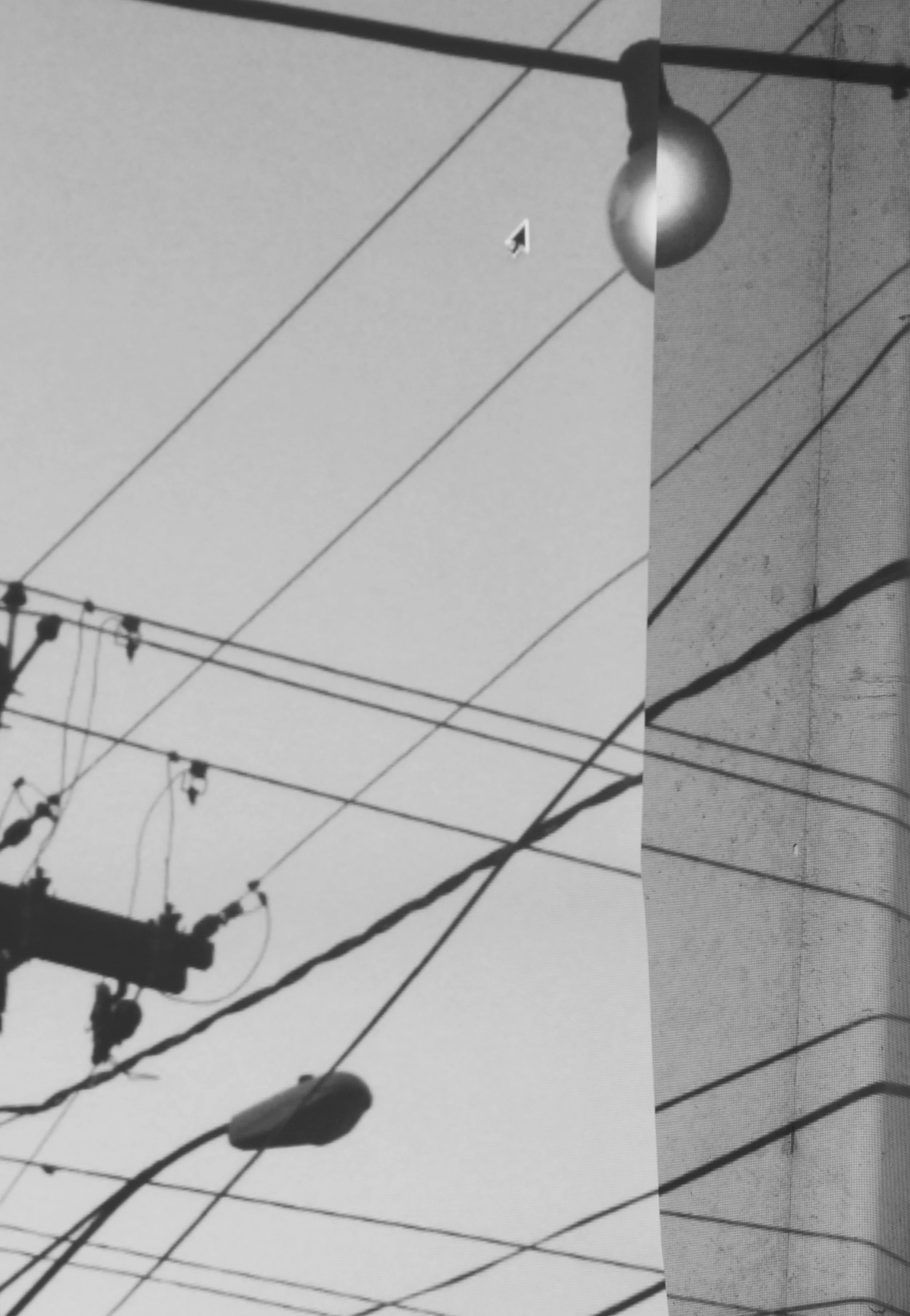 Denise deVore
"Untitled 02"
Photography, 2019
[$200]
denisedevore@mac.com