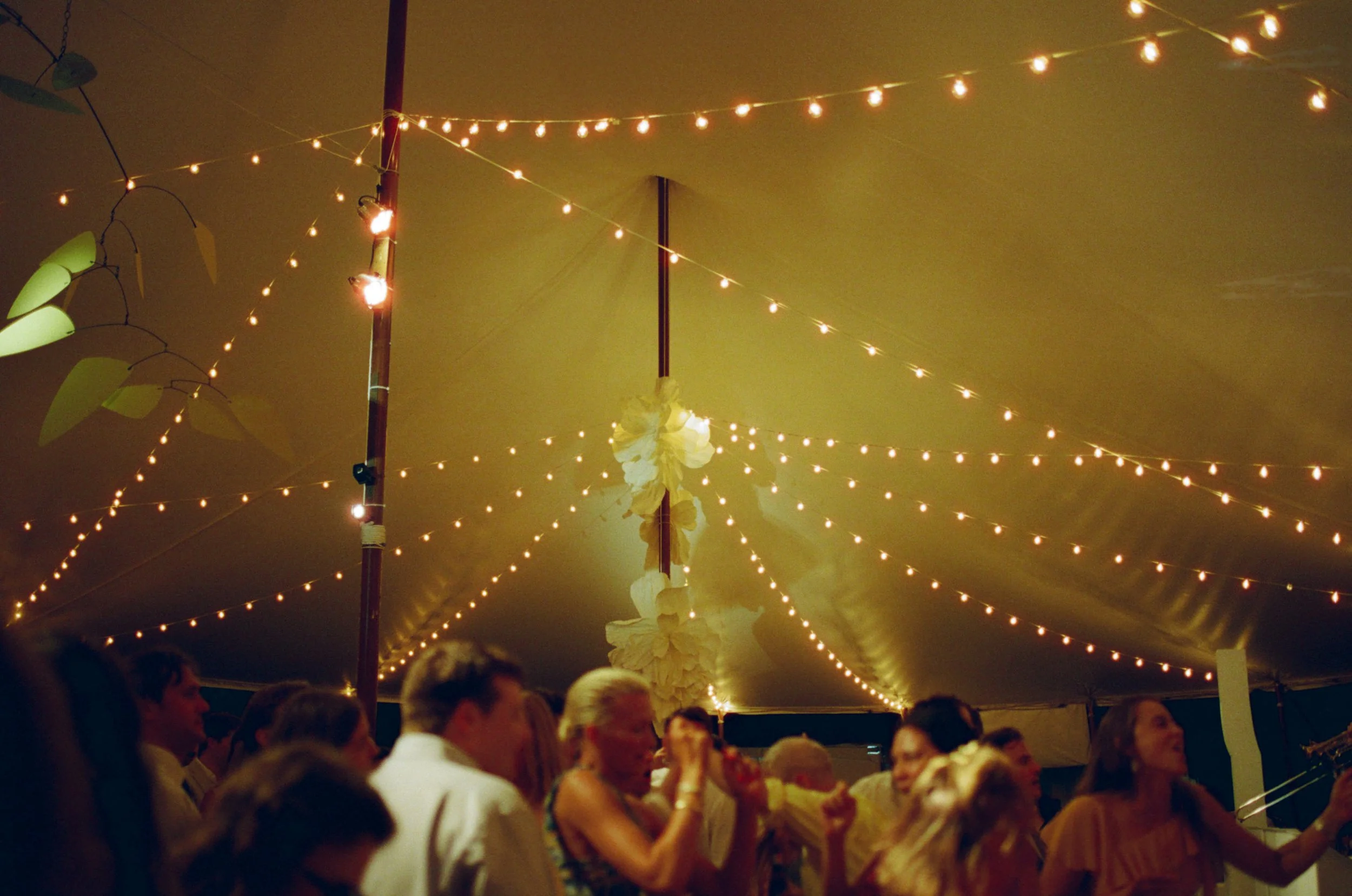 L-C-The-Party-16.jpg