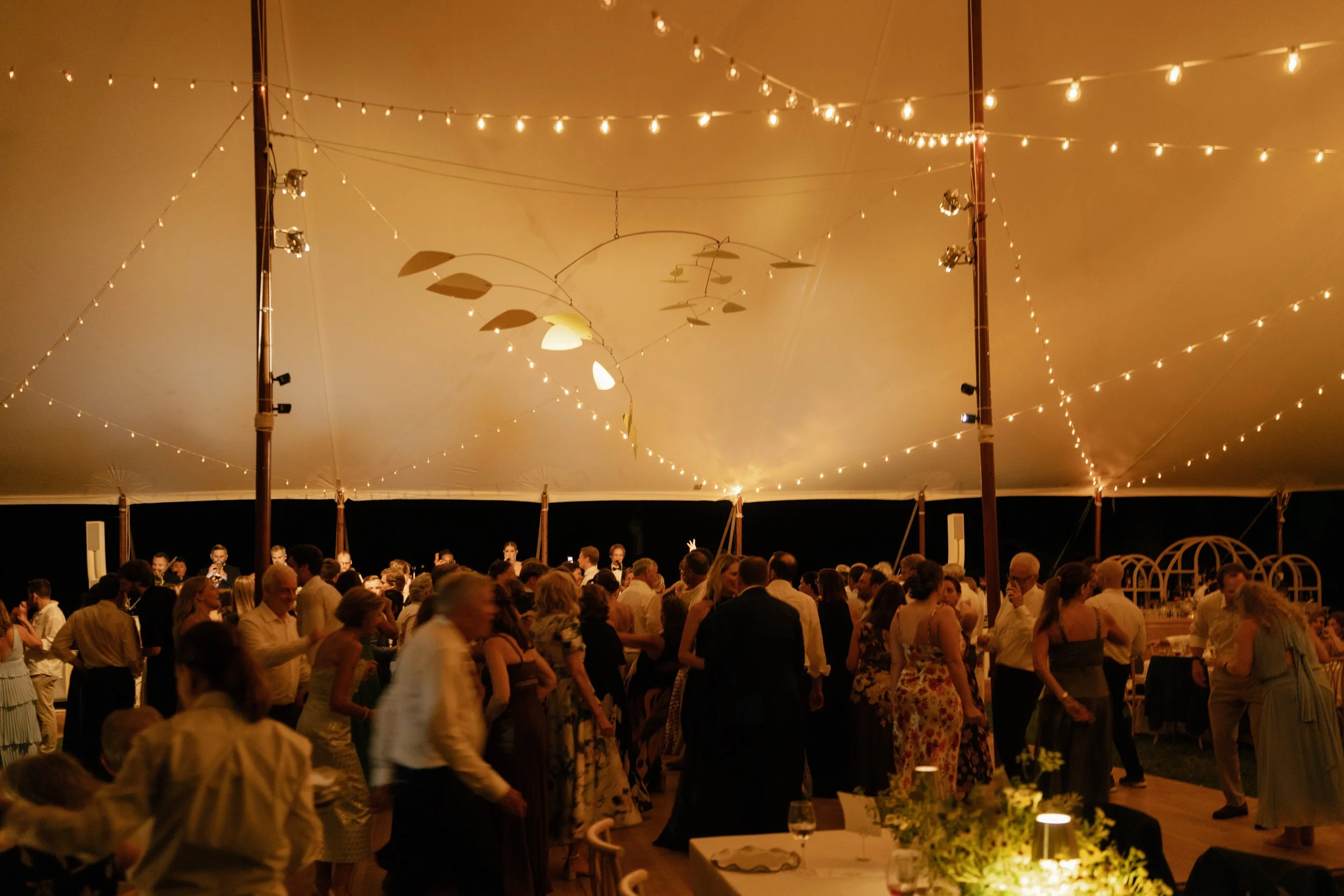 L-C-The-Party-37.jpg