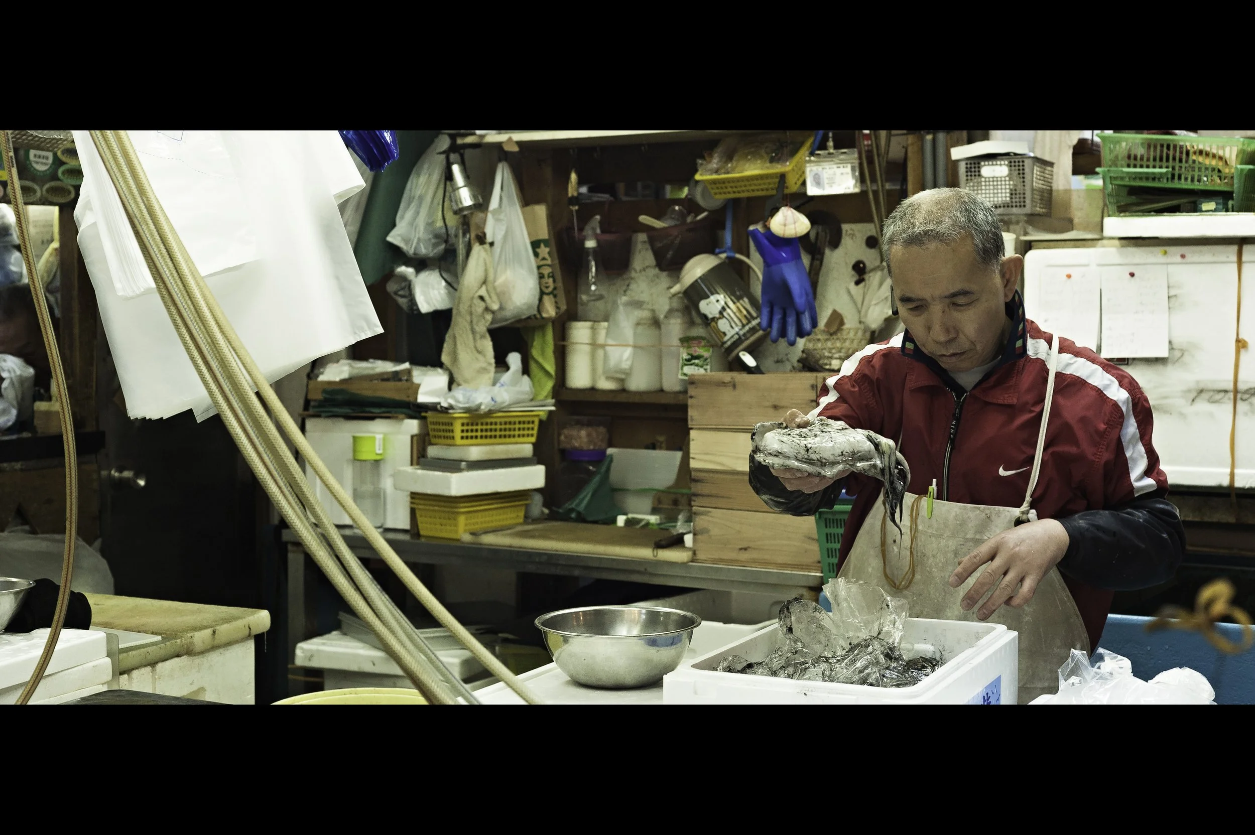cuttlefish-fish-market-vendor-tsukiji copy.jpg