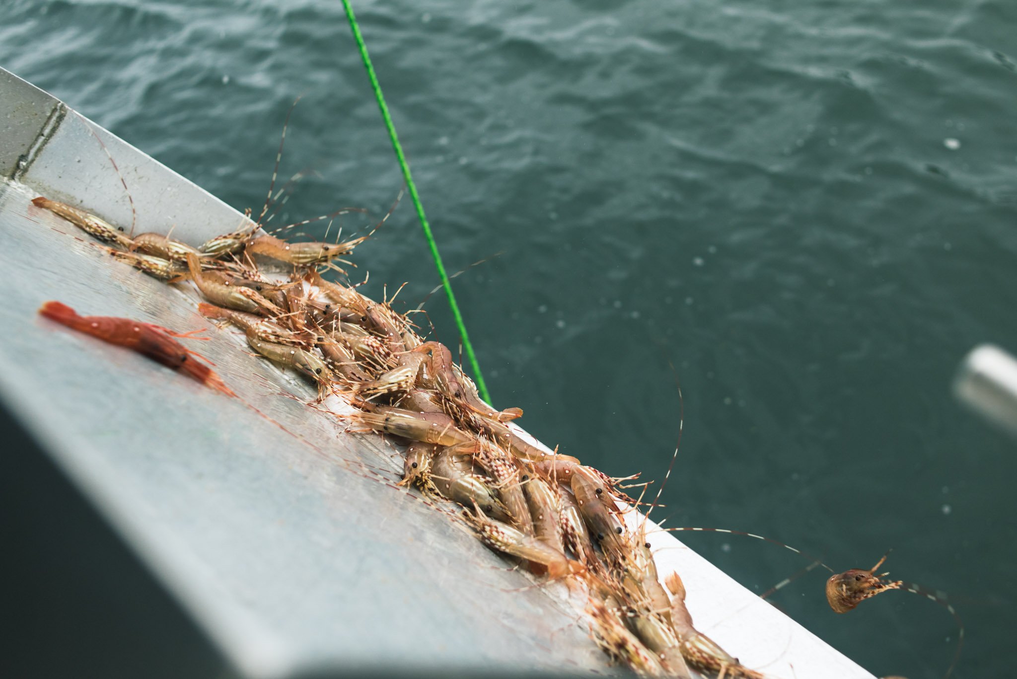 September-Isle-Pierre-Melion-15.jpg