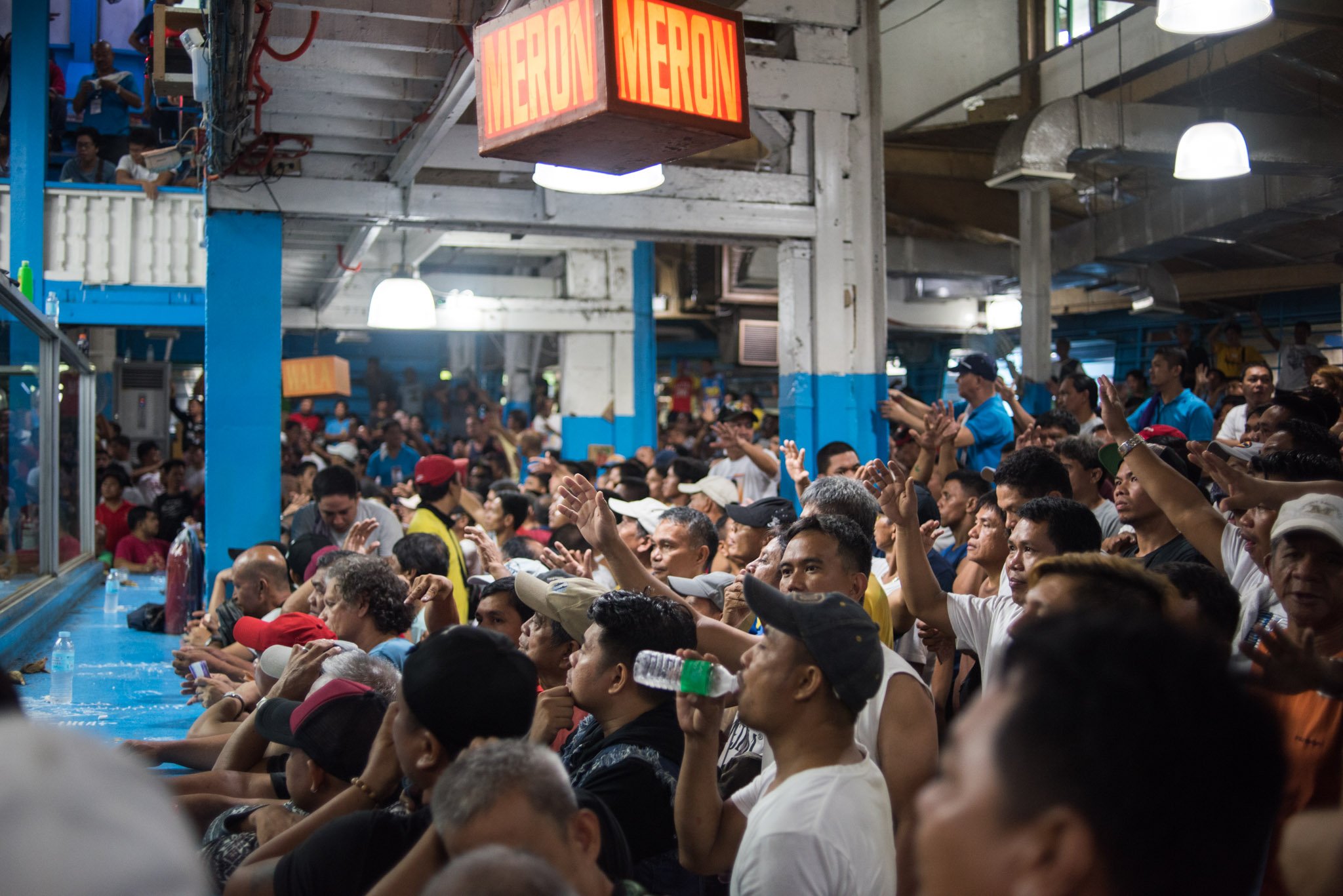 manila-sabong-cock-fighting-9.jpg