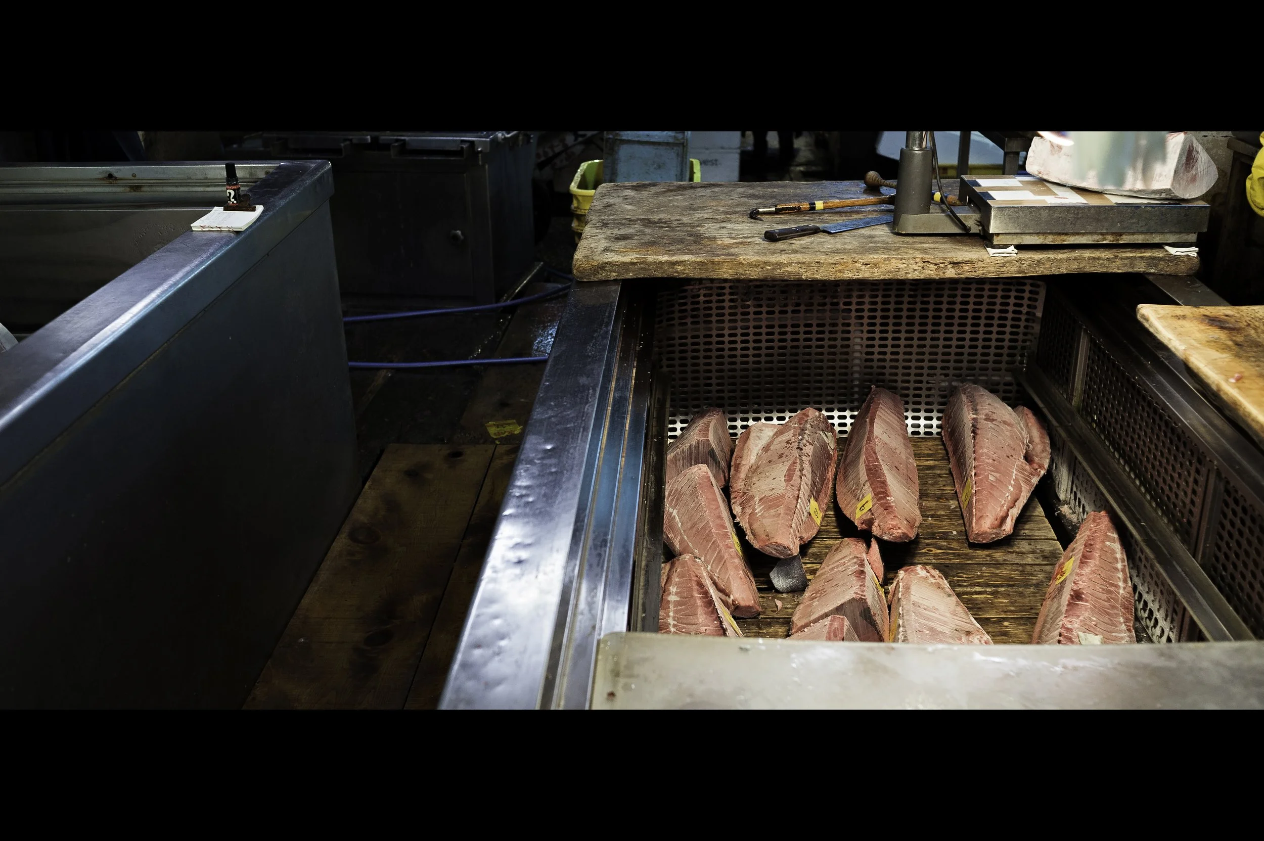 frozen-tuna-fillets.jpg