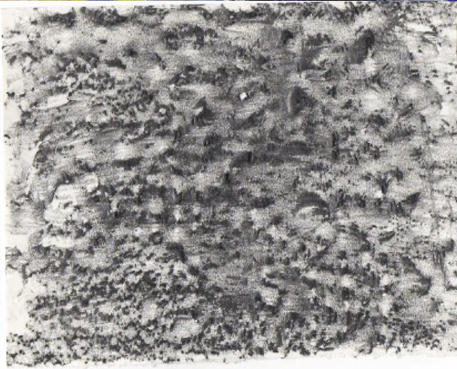 coutmmh copy 11.jpg