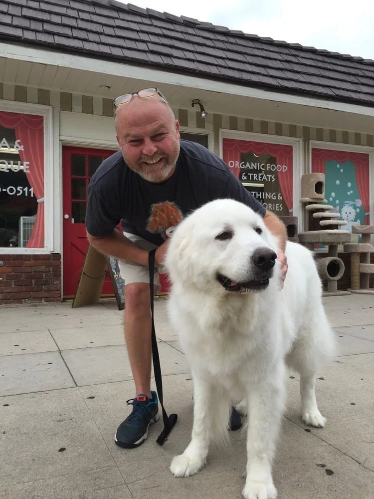 Dog Grooming Services