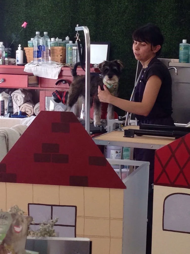 Full Service Pet Grooming.