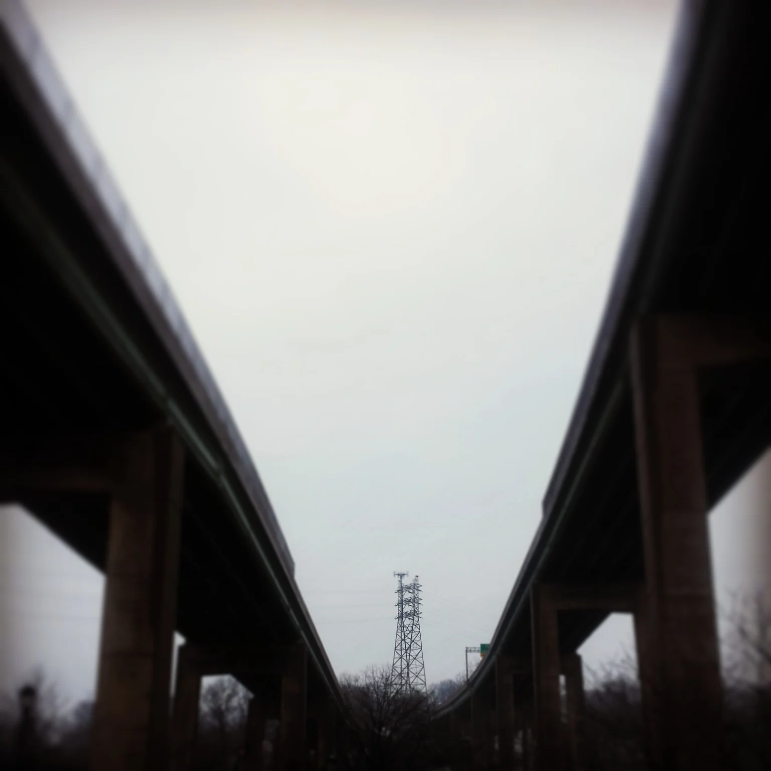 IMG_20150304_111925.jpg