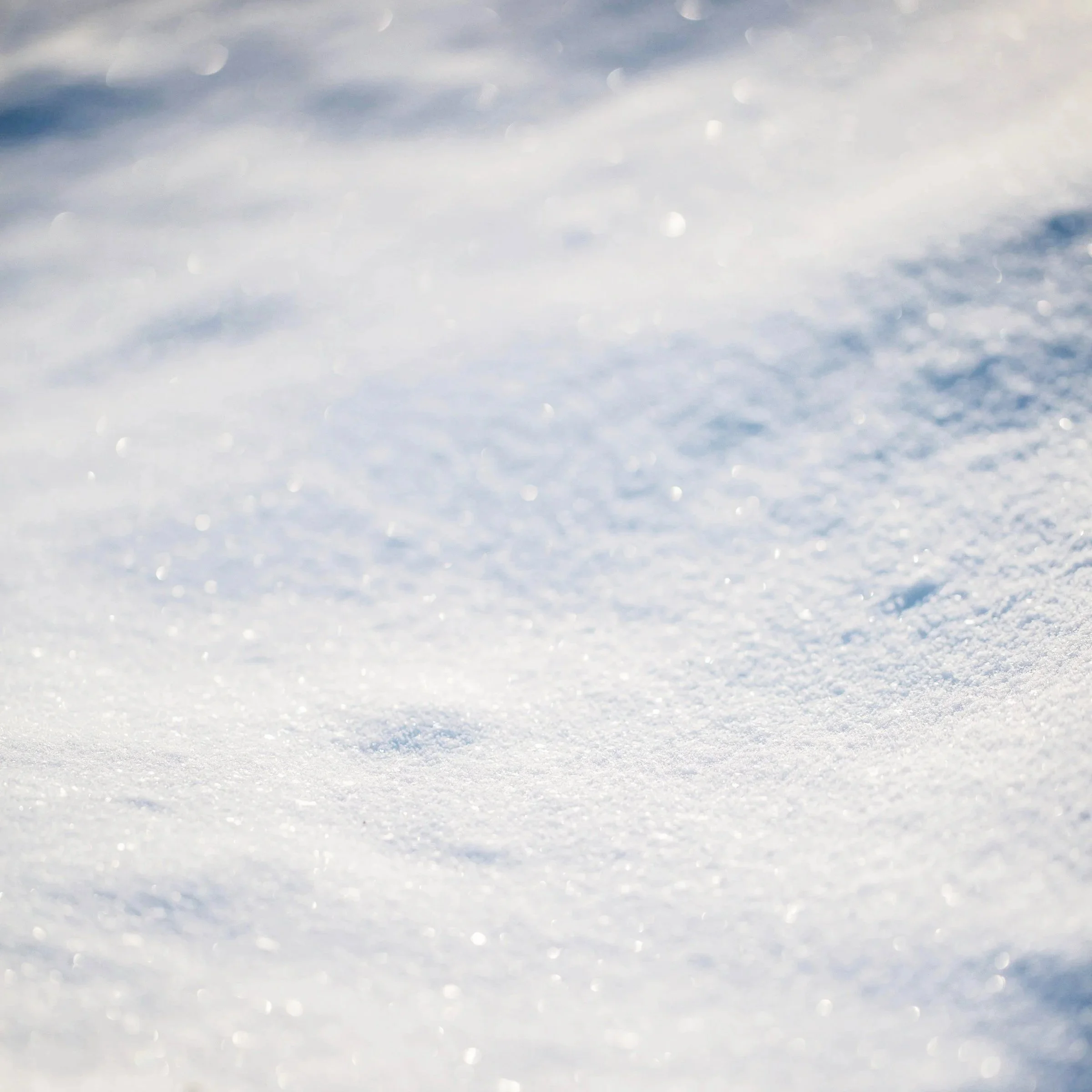 Winter Inner Fire: Tibetan Medicine for the Season